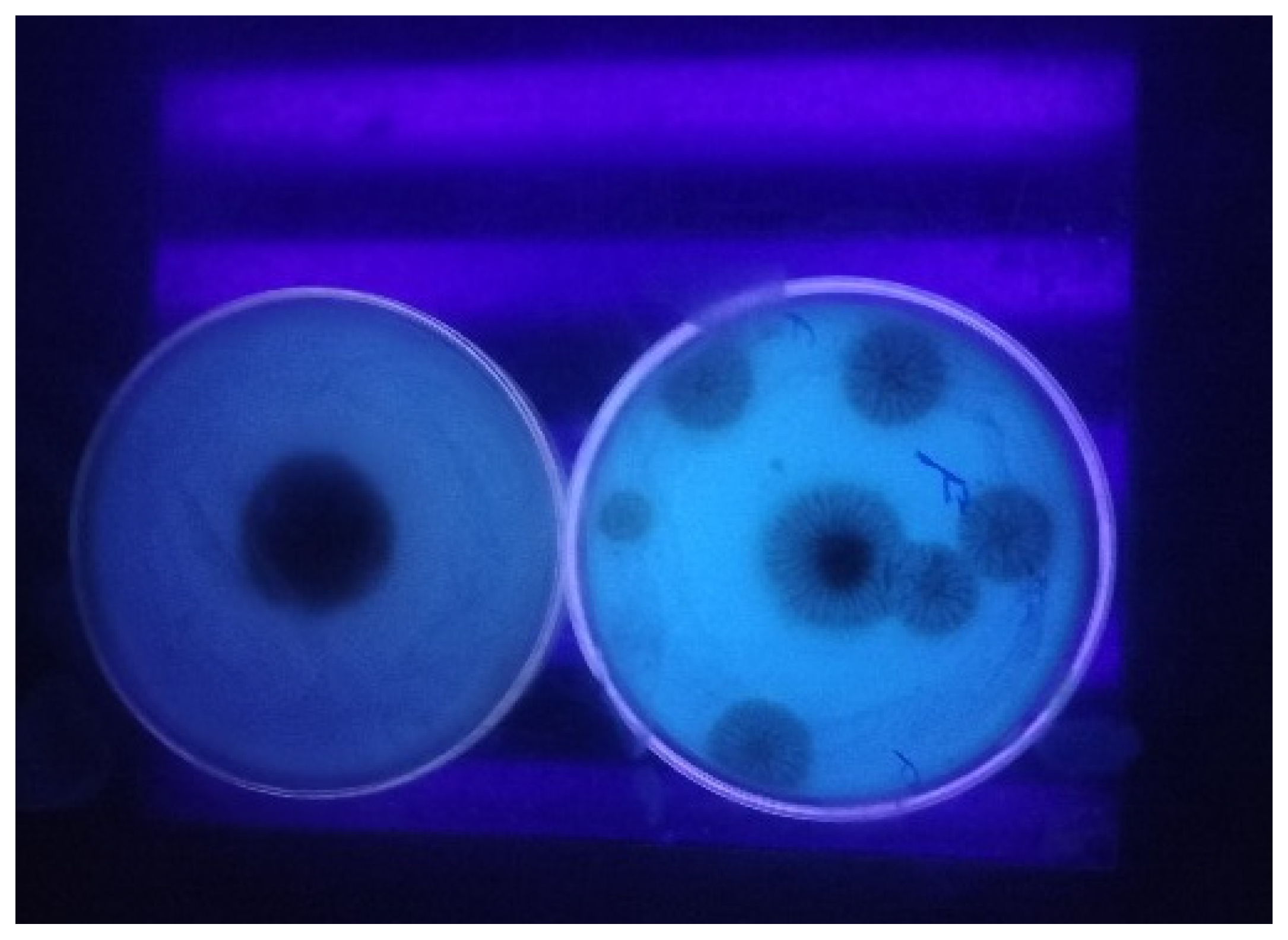 Toxins 17 00474 g002 Toxins 17 00474 g002