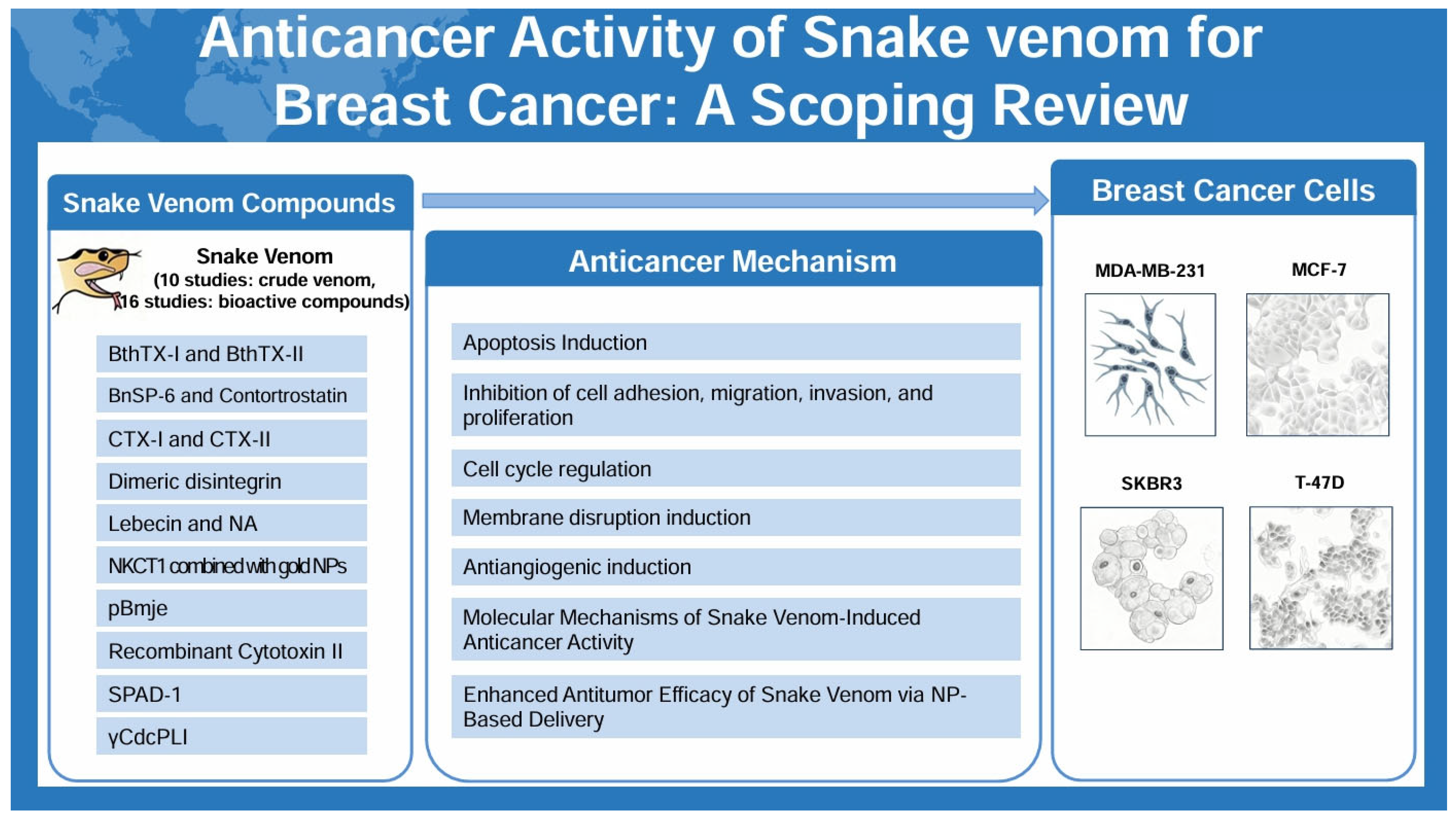Toxins 17 00477 g002