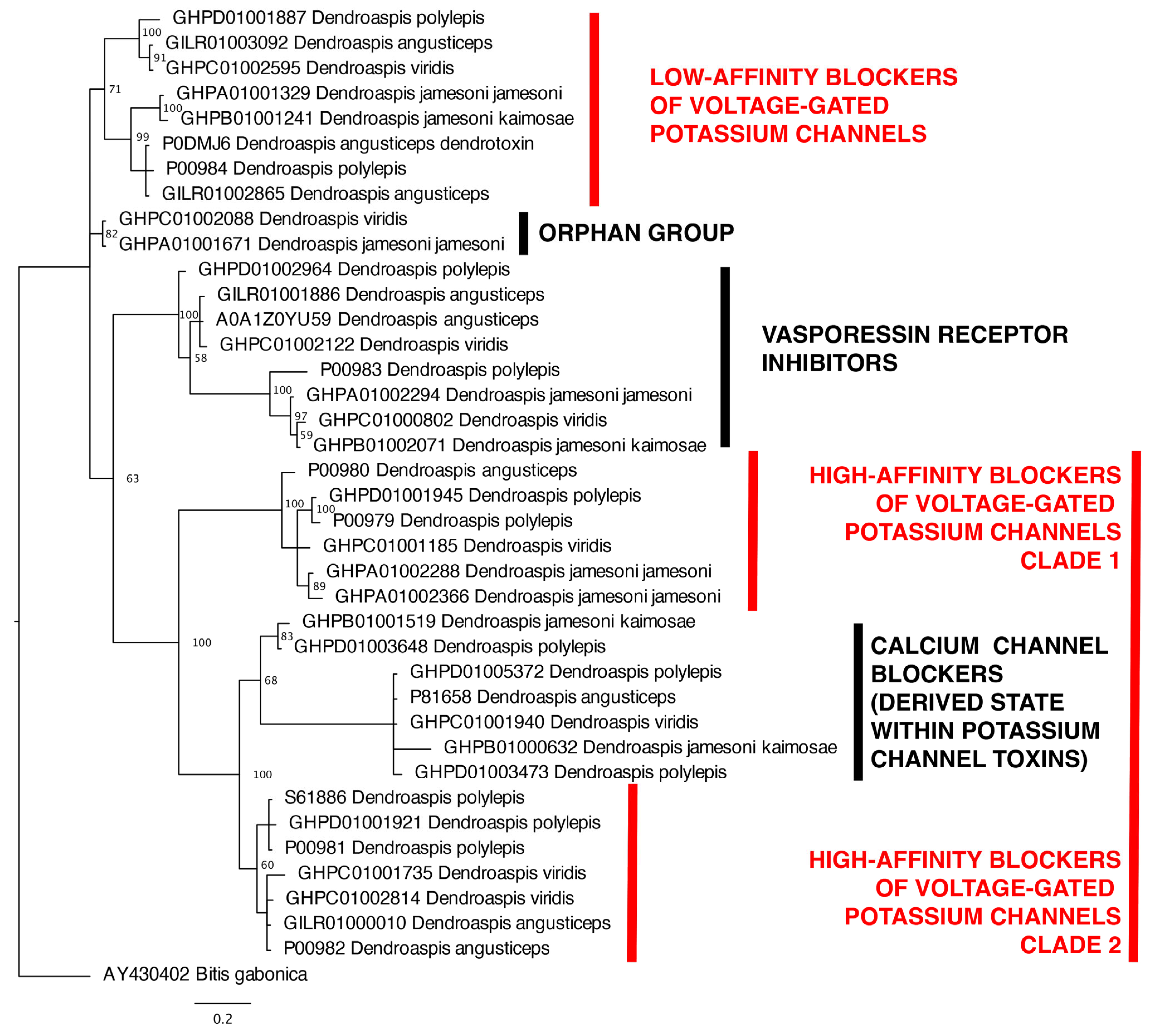 Toxins 17 00481 g004