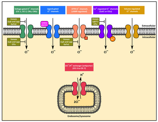 プレシジョン・メディシン Properties and Pharmacology of Scorpion Toxins and Their