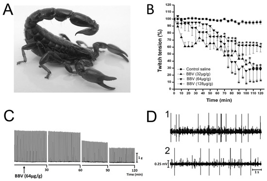 Properties and Pharmacology of Scorpion Toxins and Their