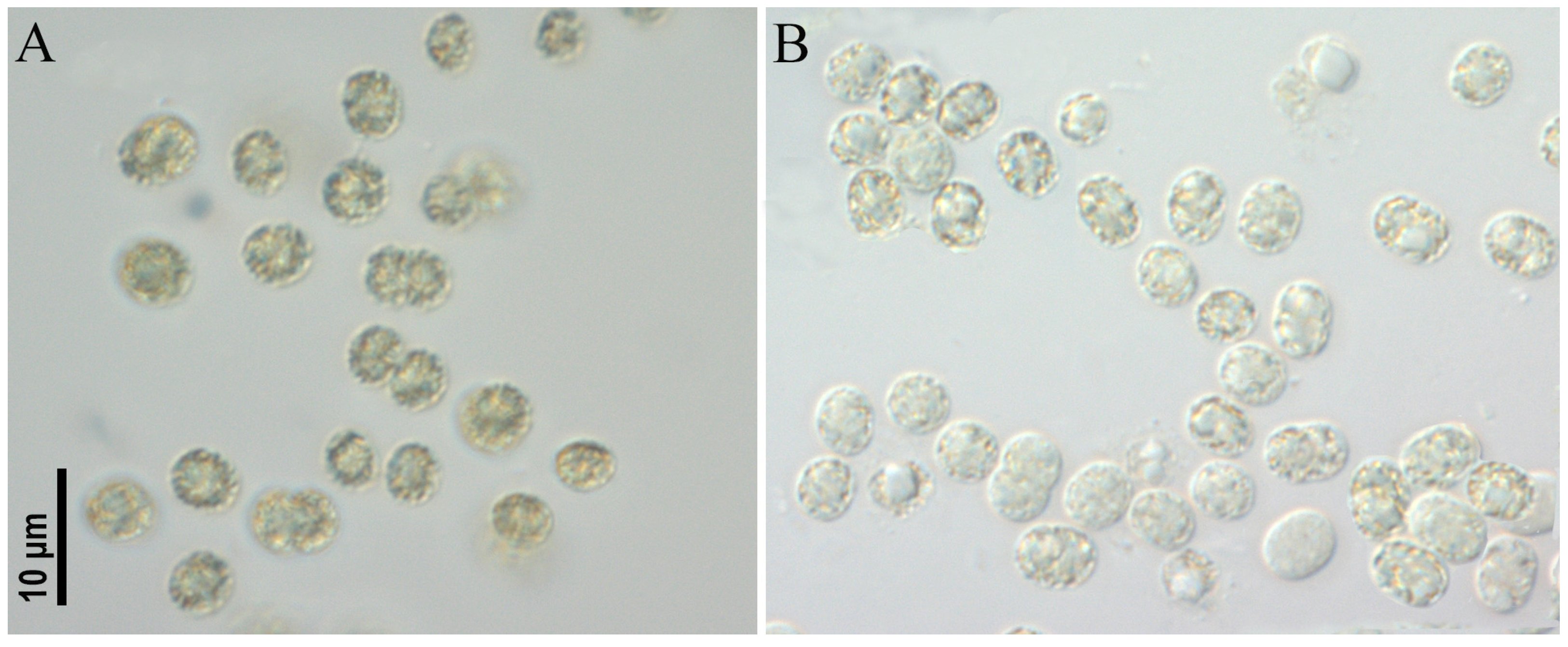 Toxins 17 00506 g006