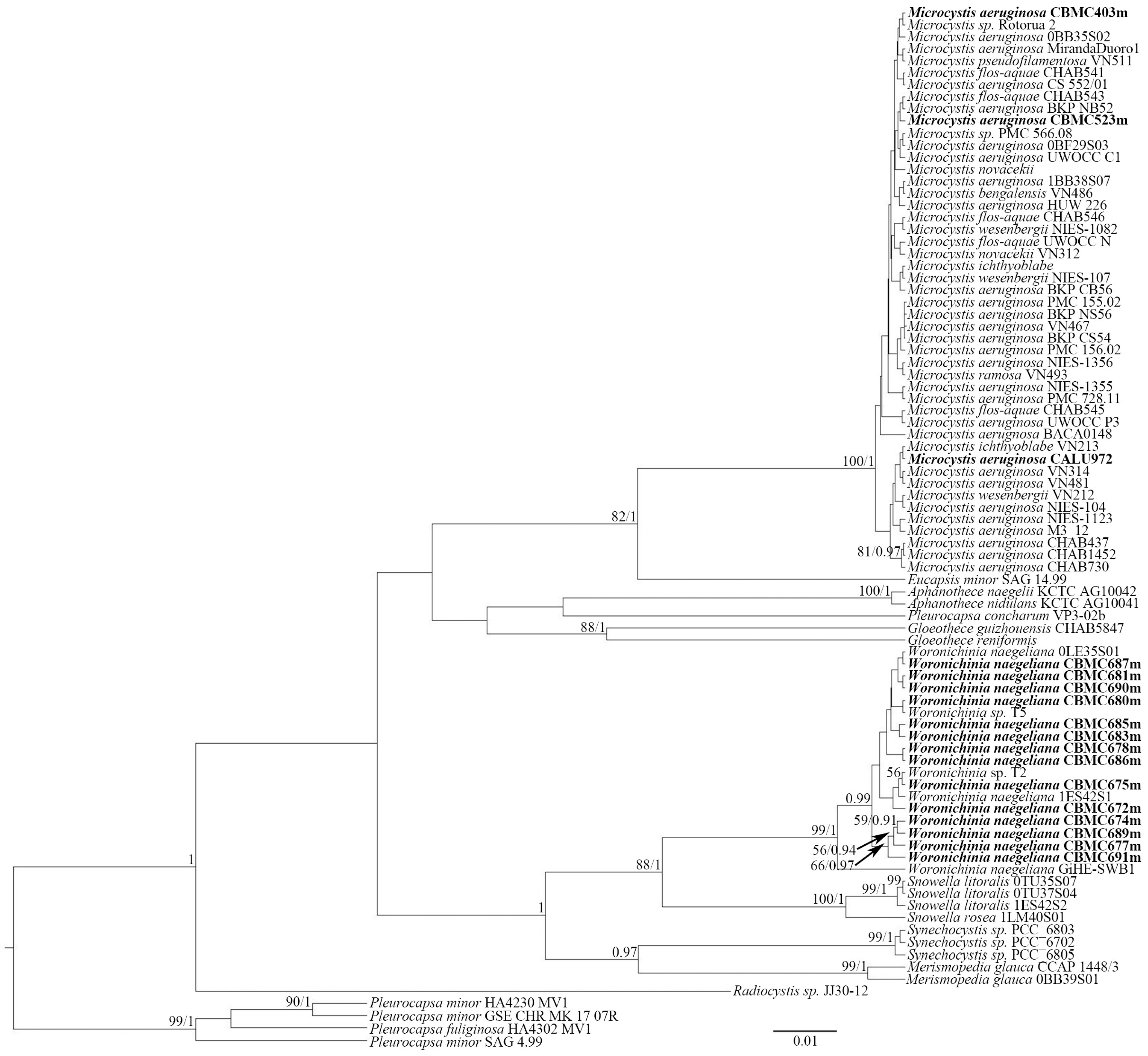 Toxins 17 00506 g007