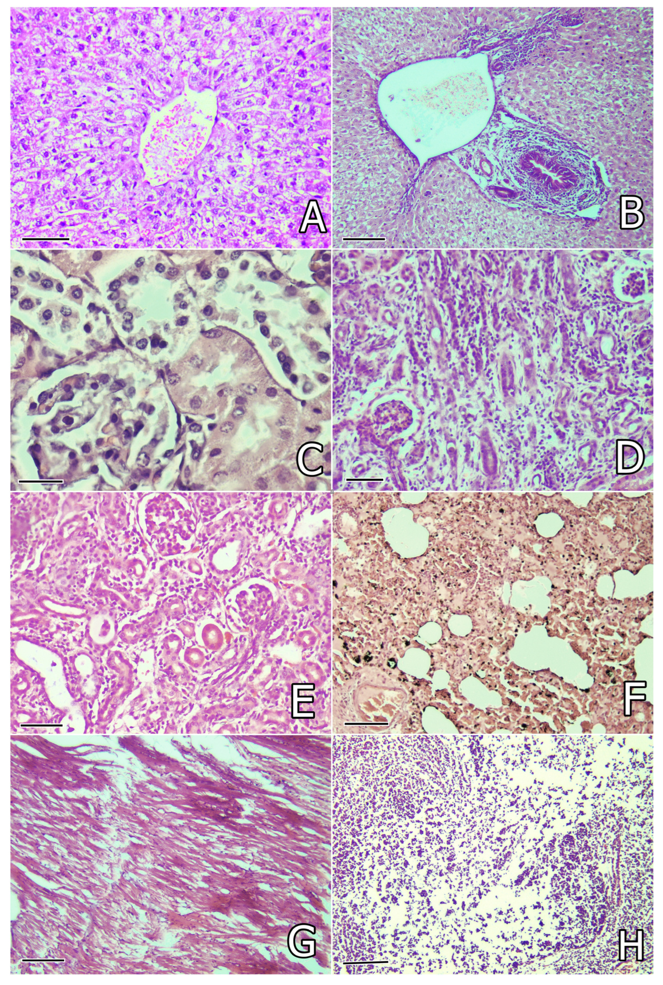 Toxins 17 00507 g002 Toxins 17 00507 g002