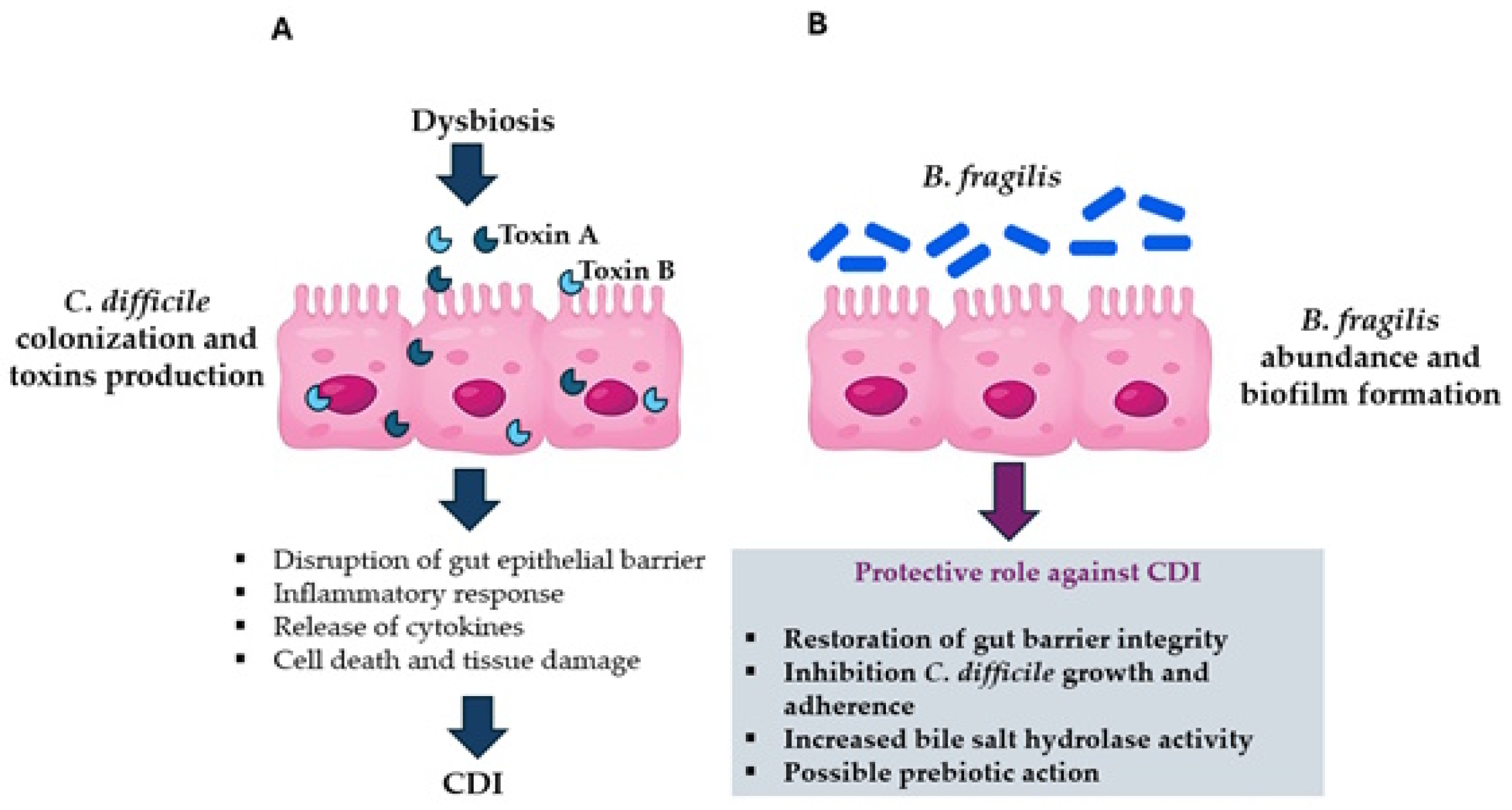 Toxins 17 00513 g001 Toxins 17 00513 g001