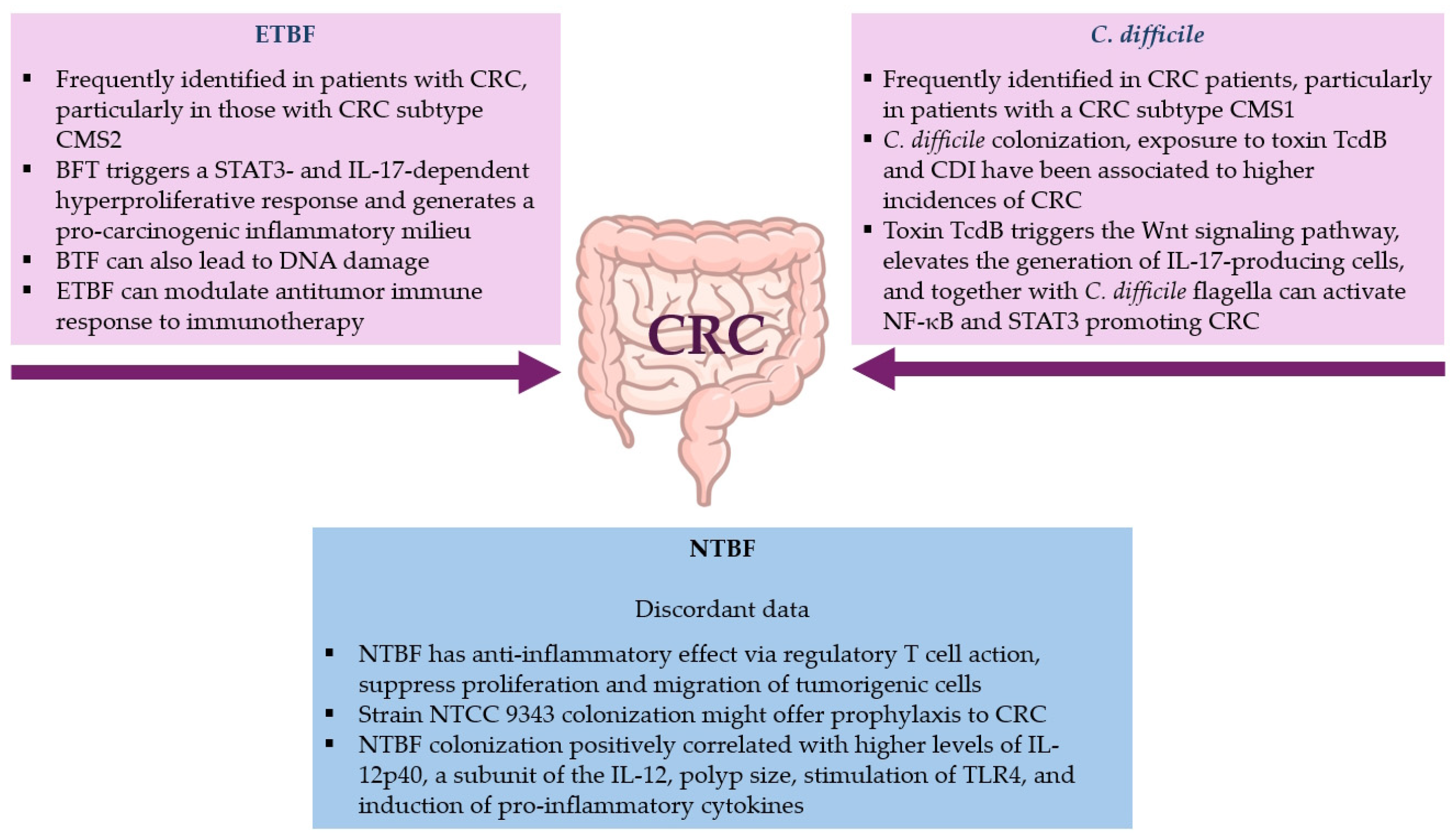 Toxins 17 00513 g002 Toxins 17 00513 g002