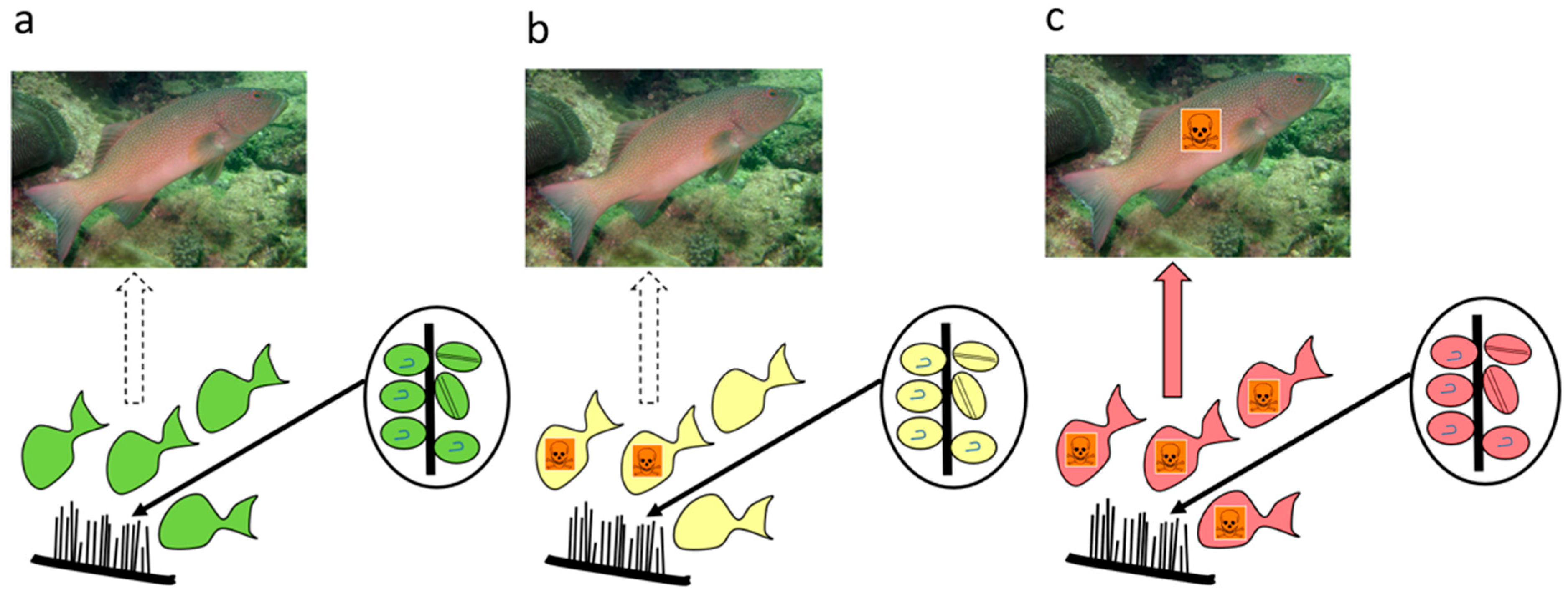 Toxins 17 00526 g008 Toxins 17 00526 g008