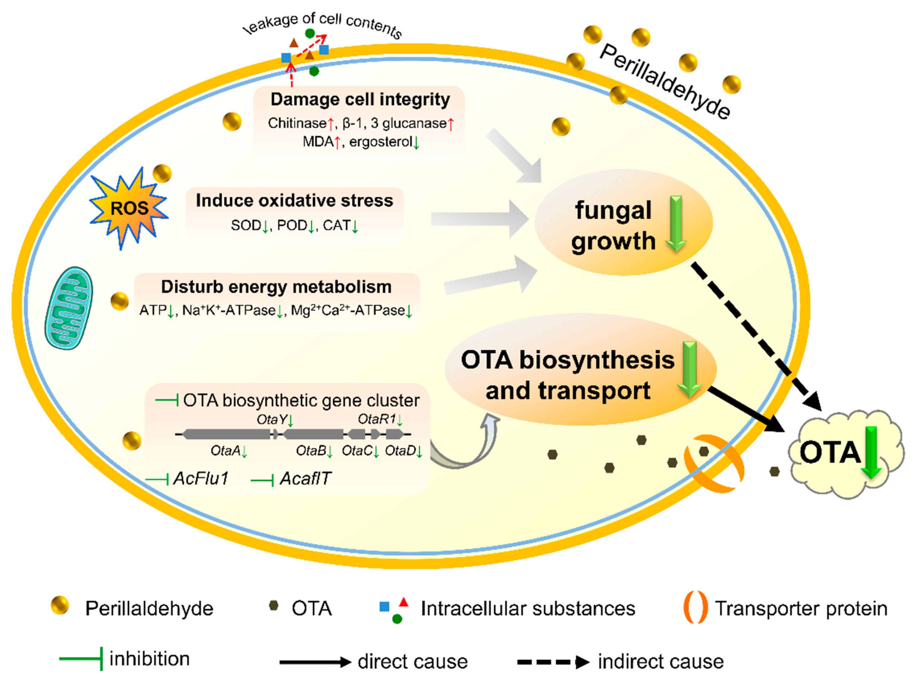 Toxins 17 00530 g007 Toxins 17 00530 g007