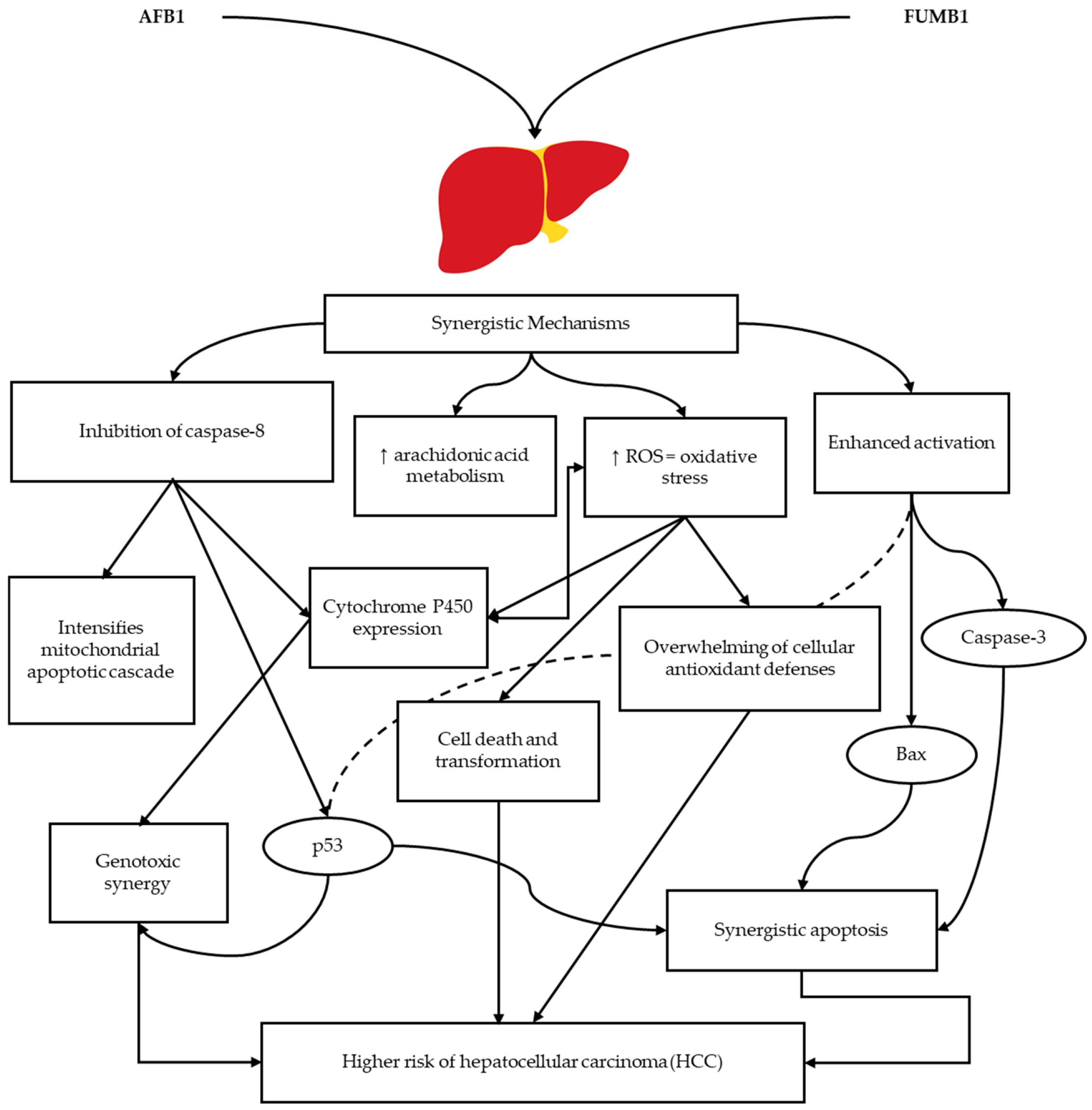 Toxins 17 00531 g004 Toxins 17 00531 g004