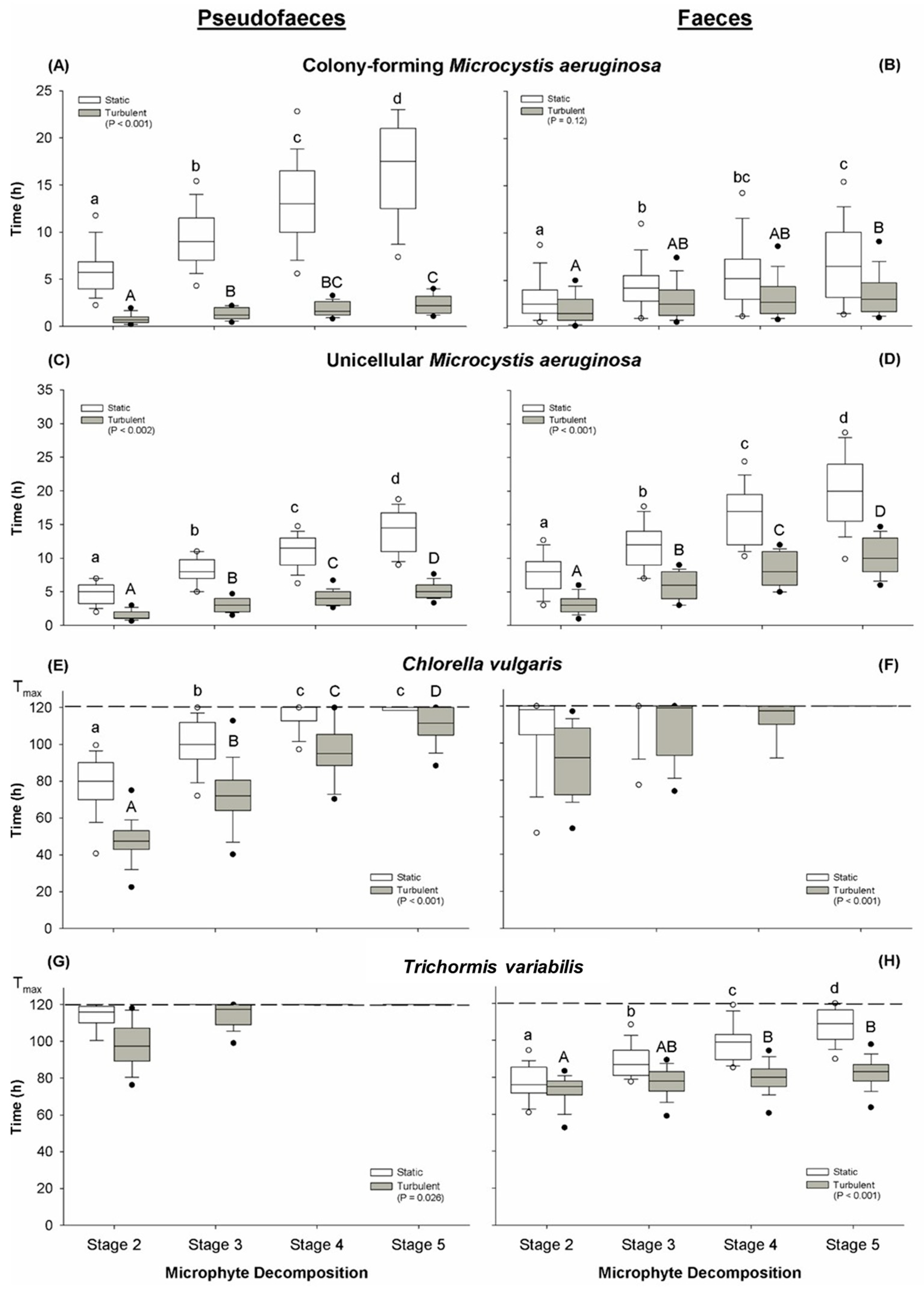 Toxins 17 00536 g001 Toxins 17 00536 g001