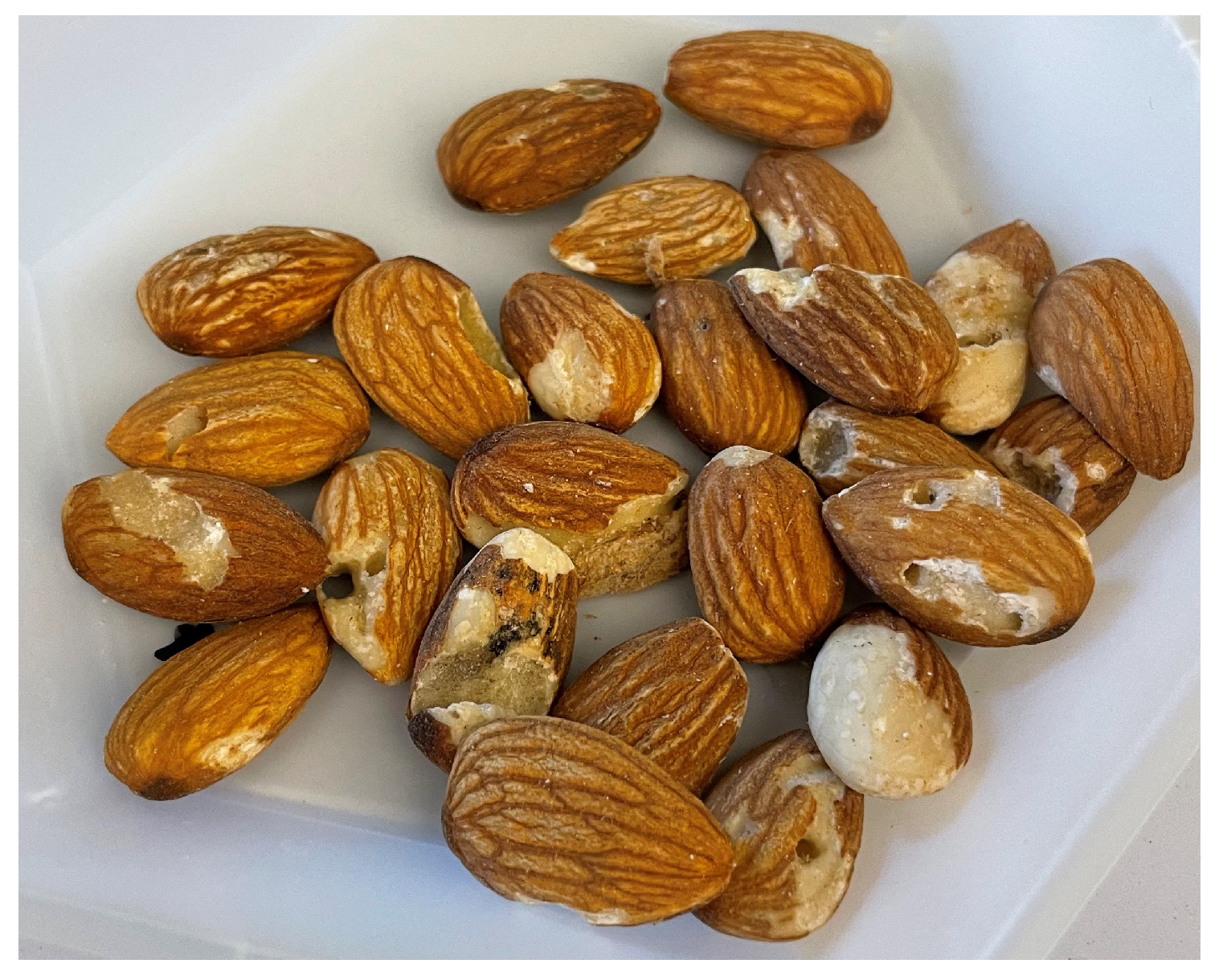 Toxins 17 00539 g002