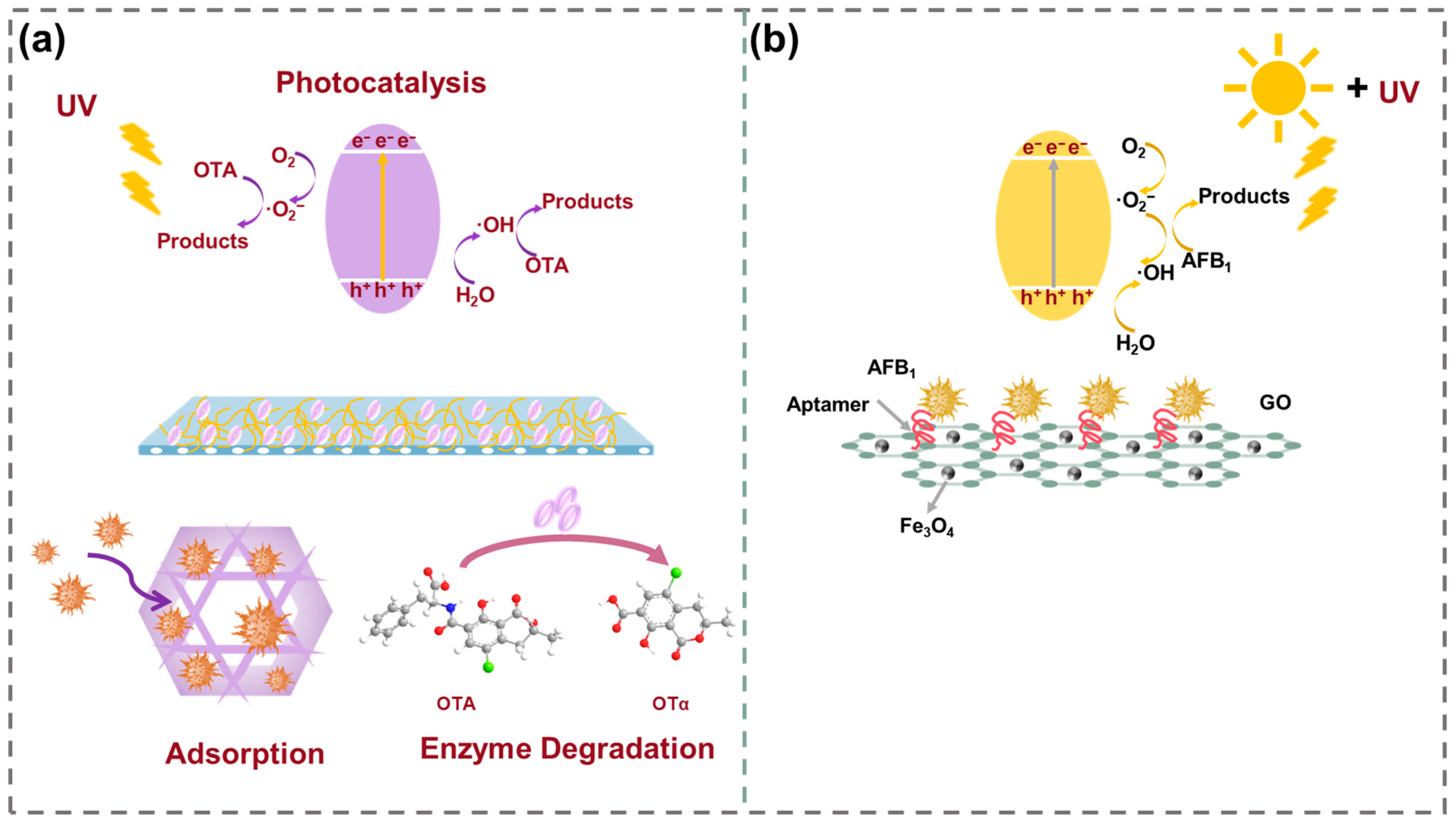 Toxins 17 00556 g004 Toxins 17 00556 g004