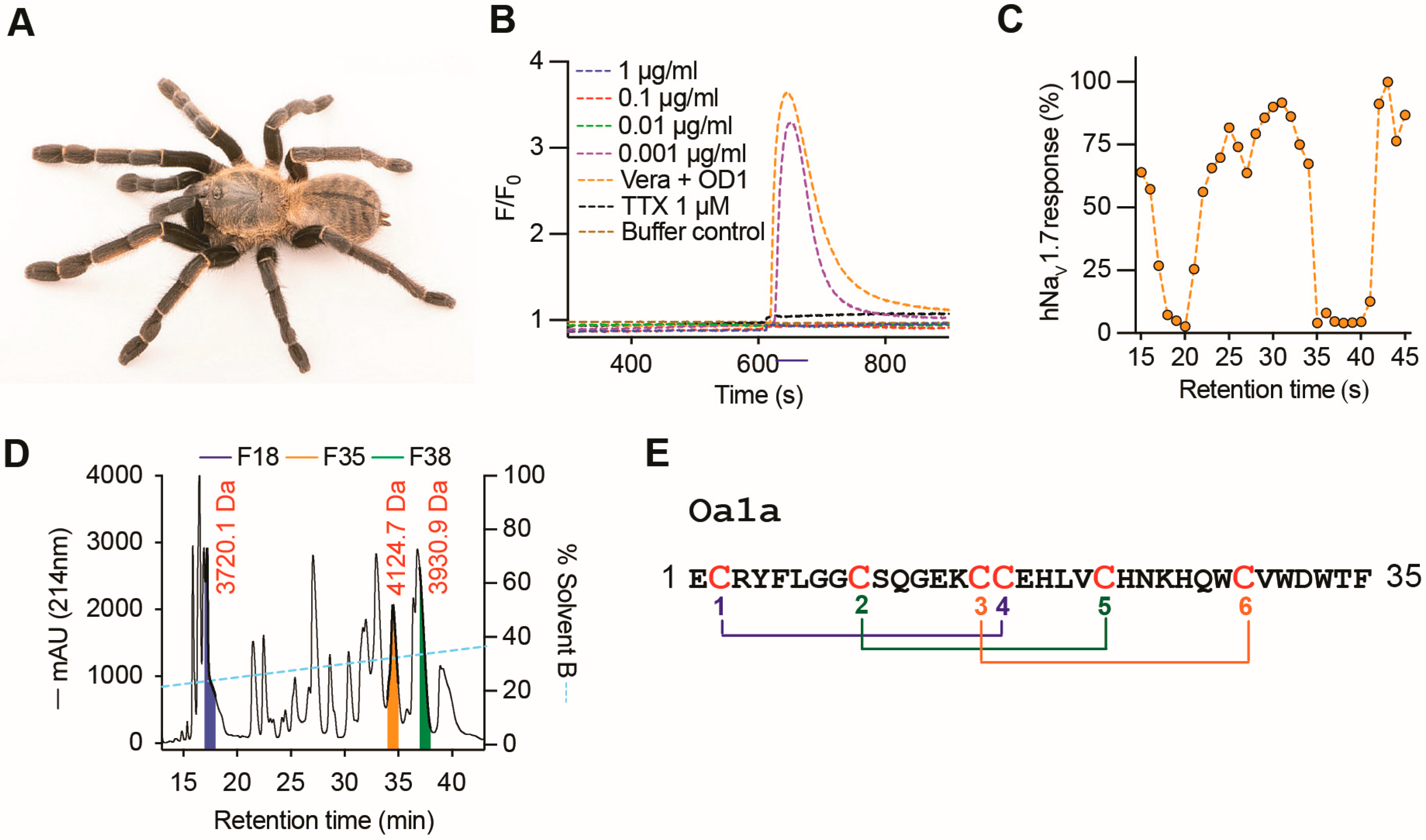 Toxins 17 00561 g001 Toxins 17 00561 g001