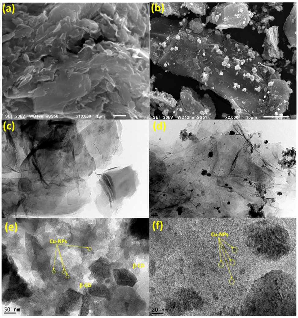 Toxins 17 00562 g002