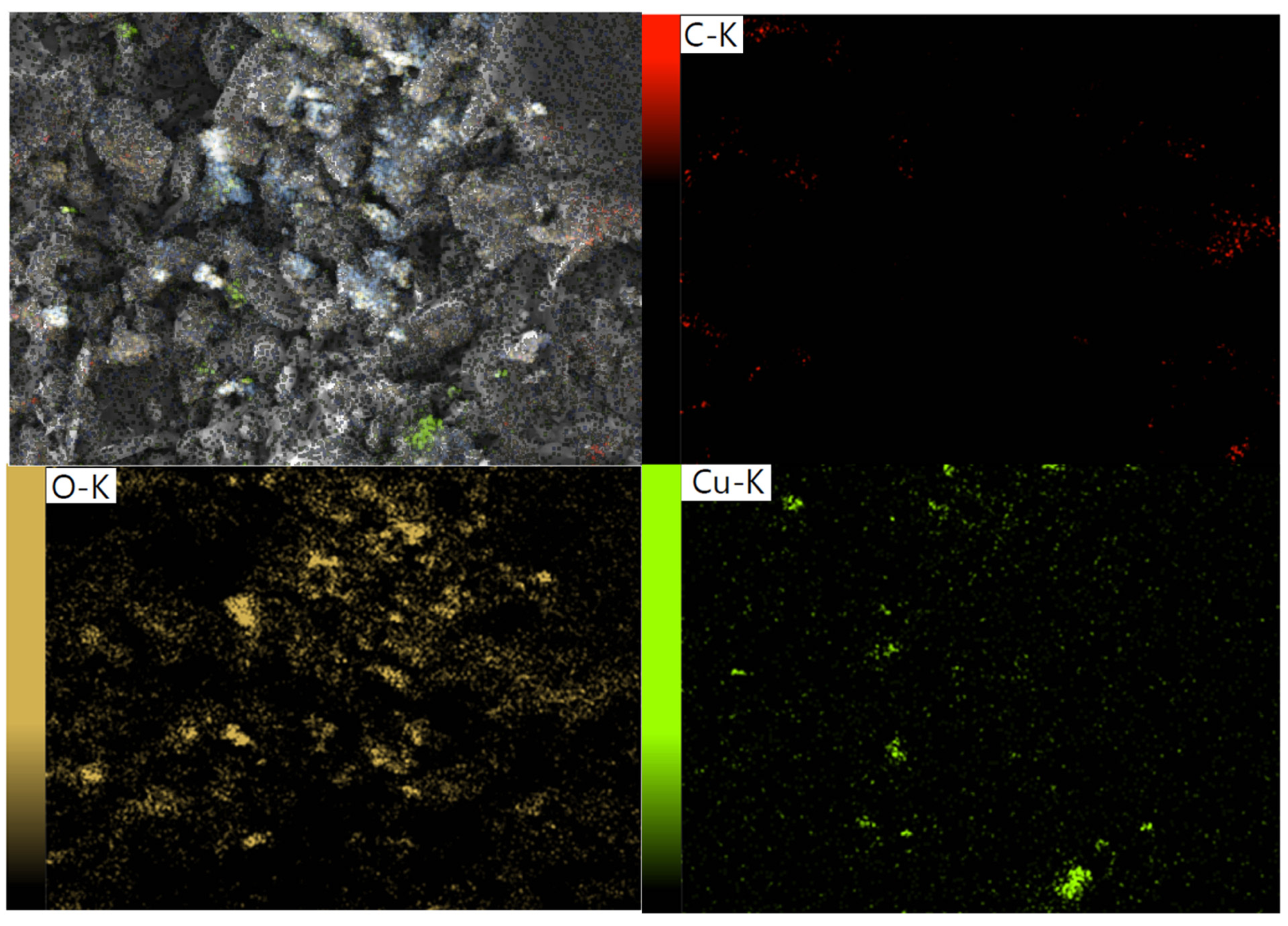 Toxins 17 00562 g003