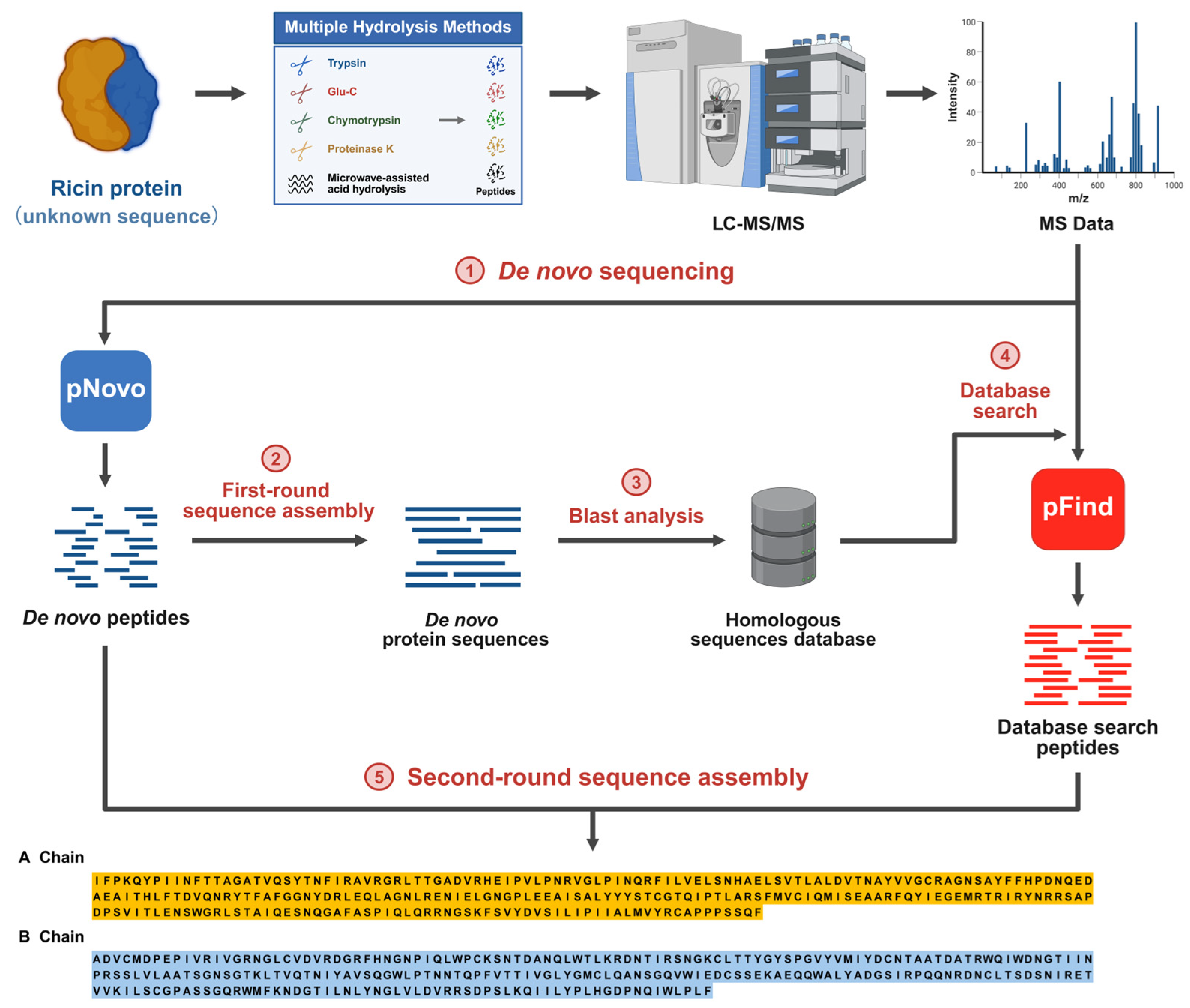 Toxins 17 00564 g001