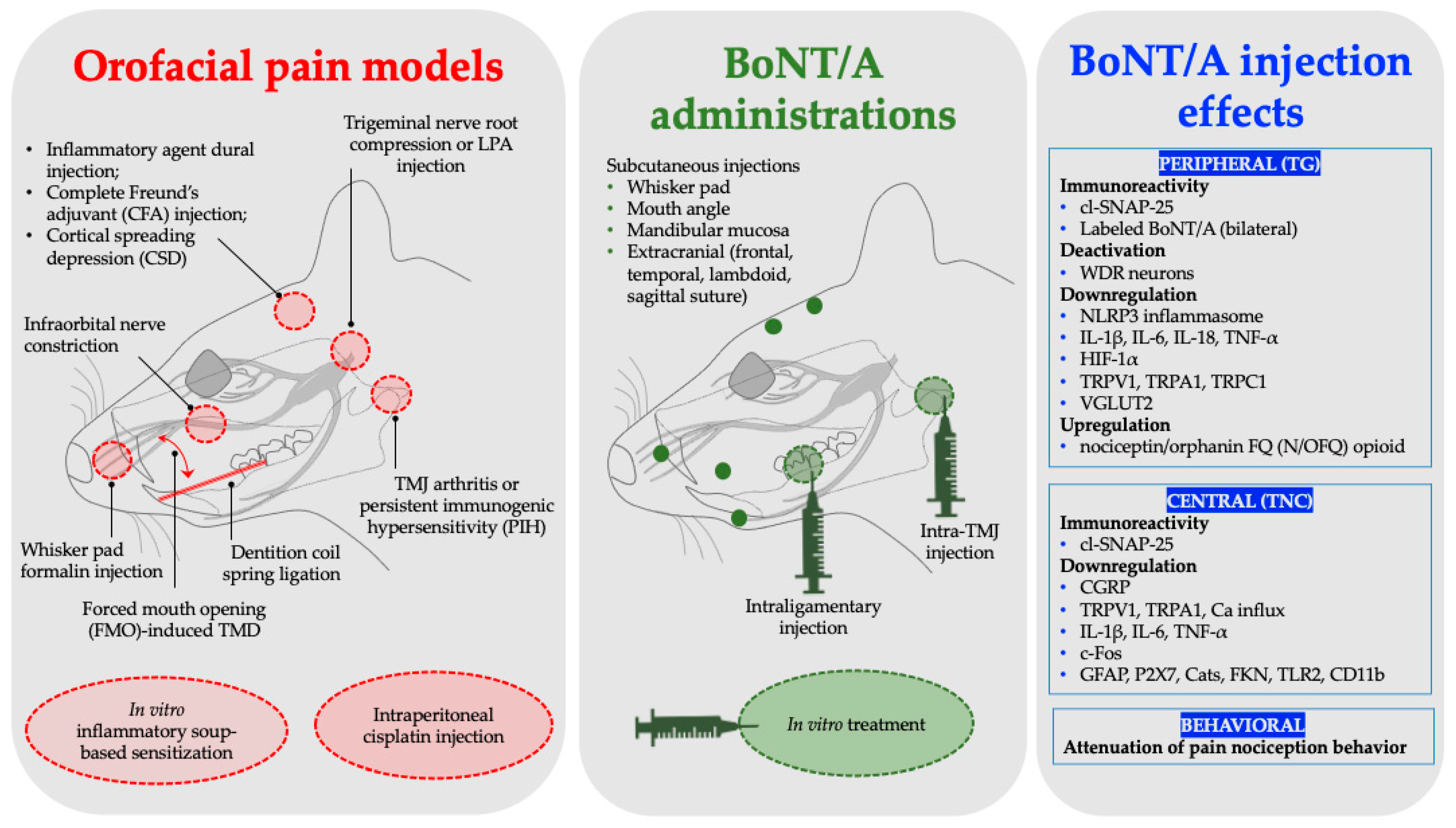 Toxins 17 00567 g001