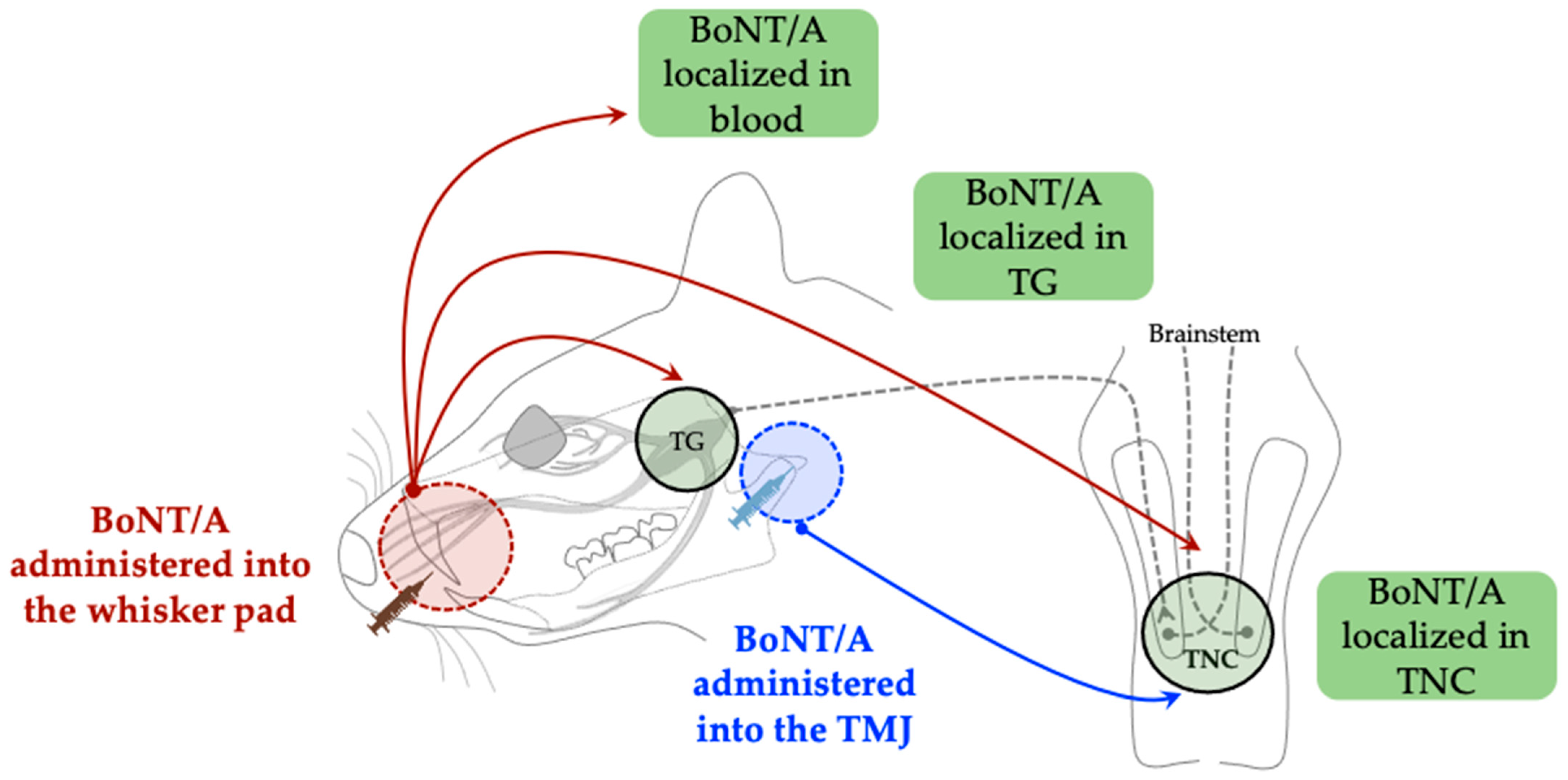 Toxins 17 00567 g003