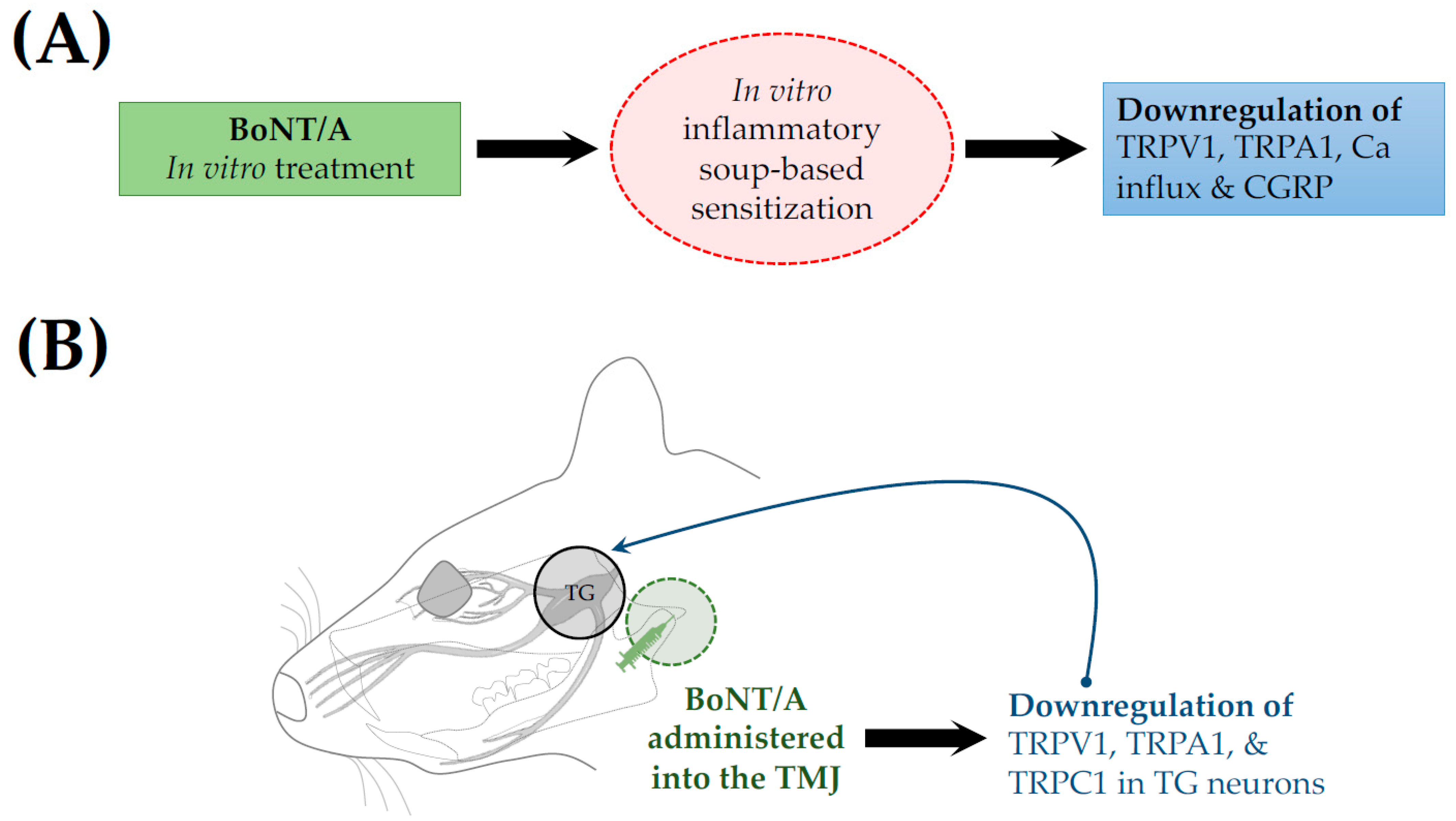 Toxins 17 00567 g004