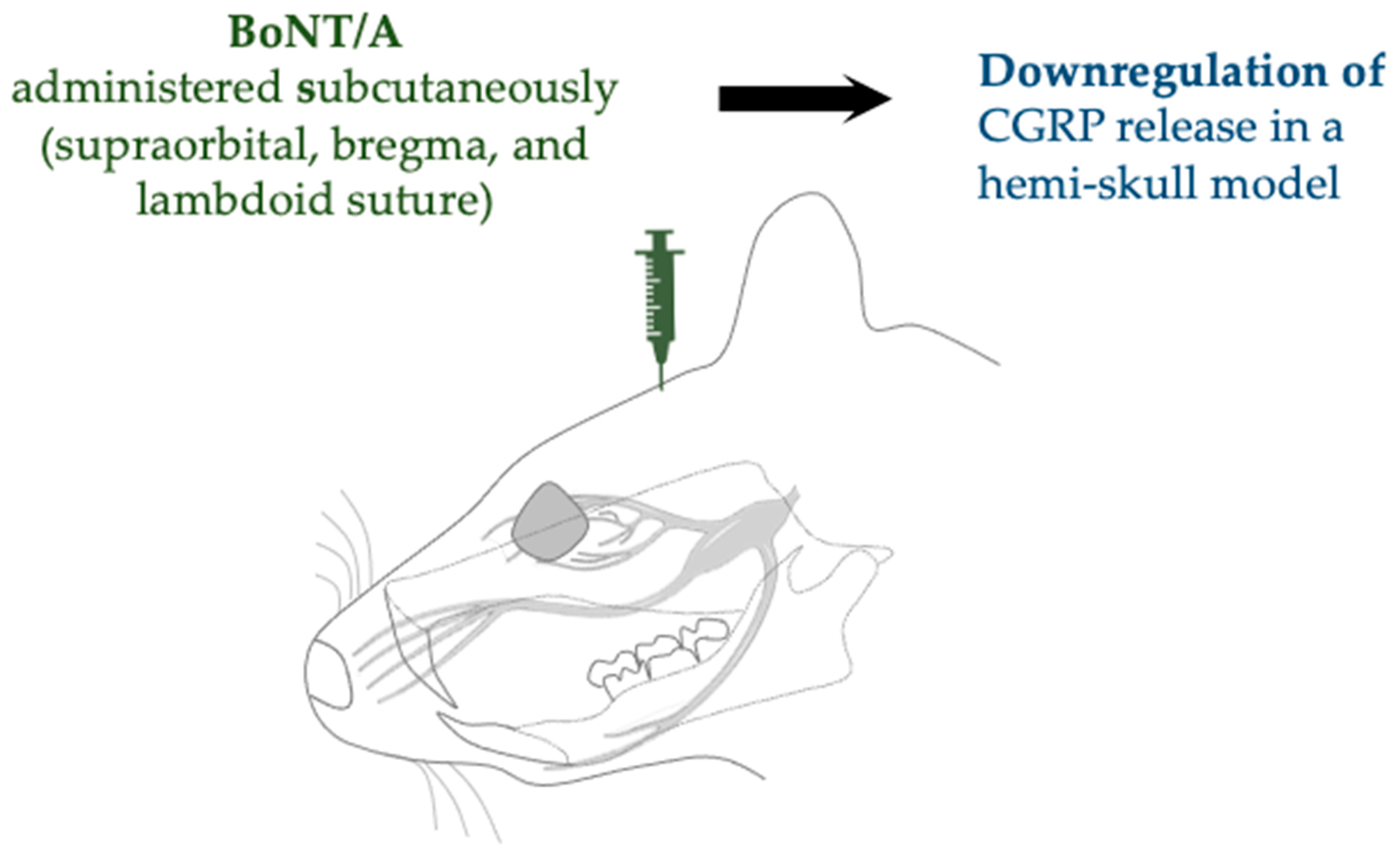 Toxins 17 00567 g005