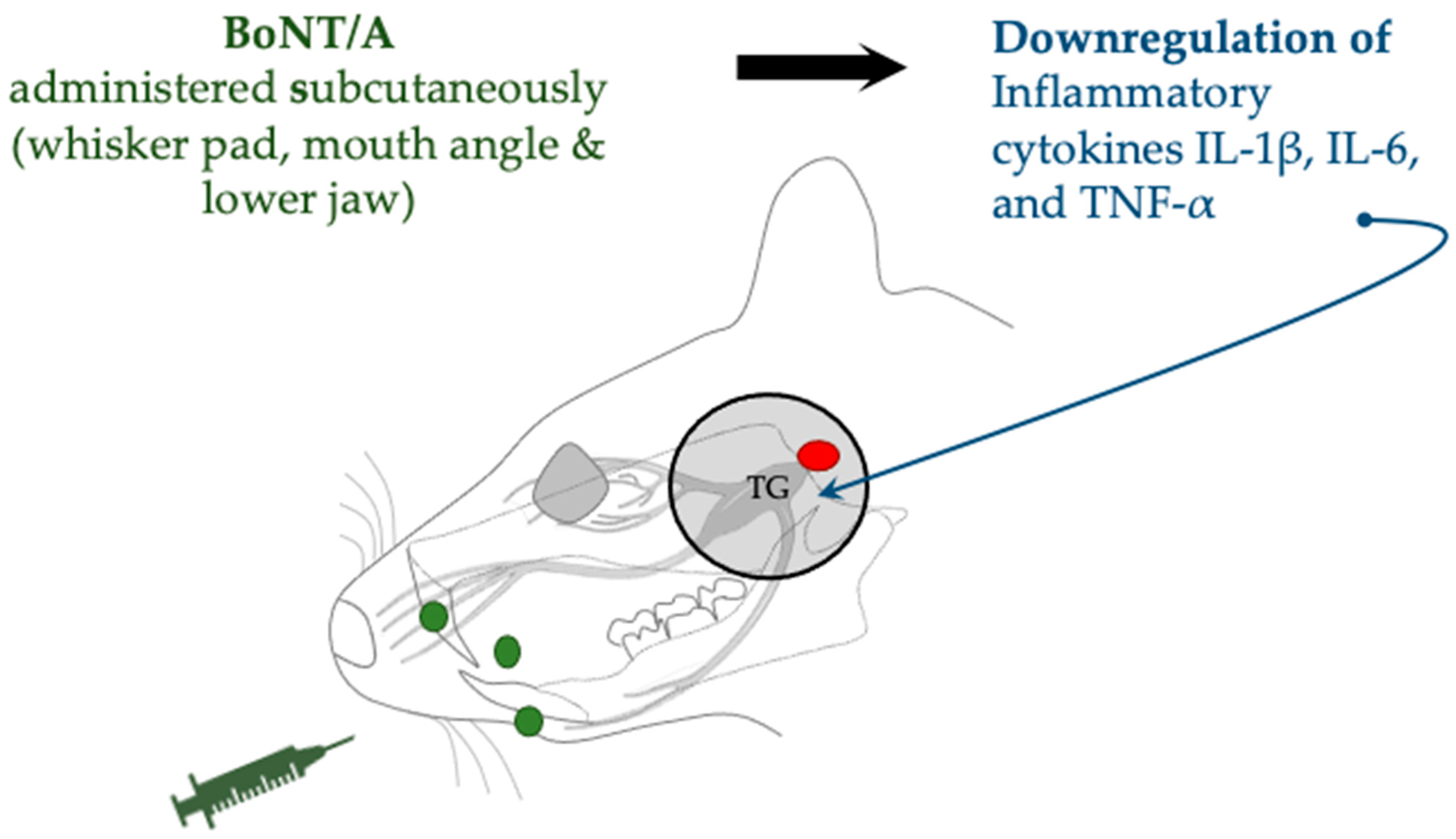 Toxins 17 00567 g006