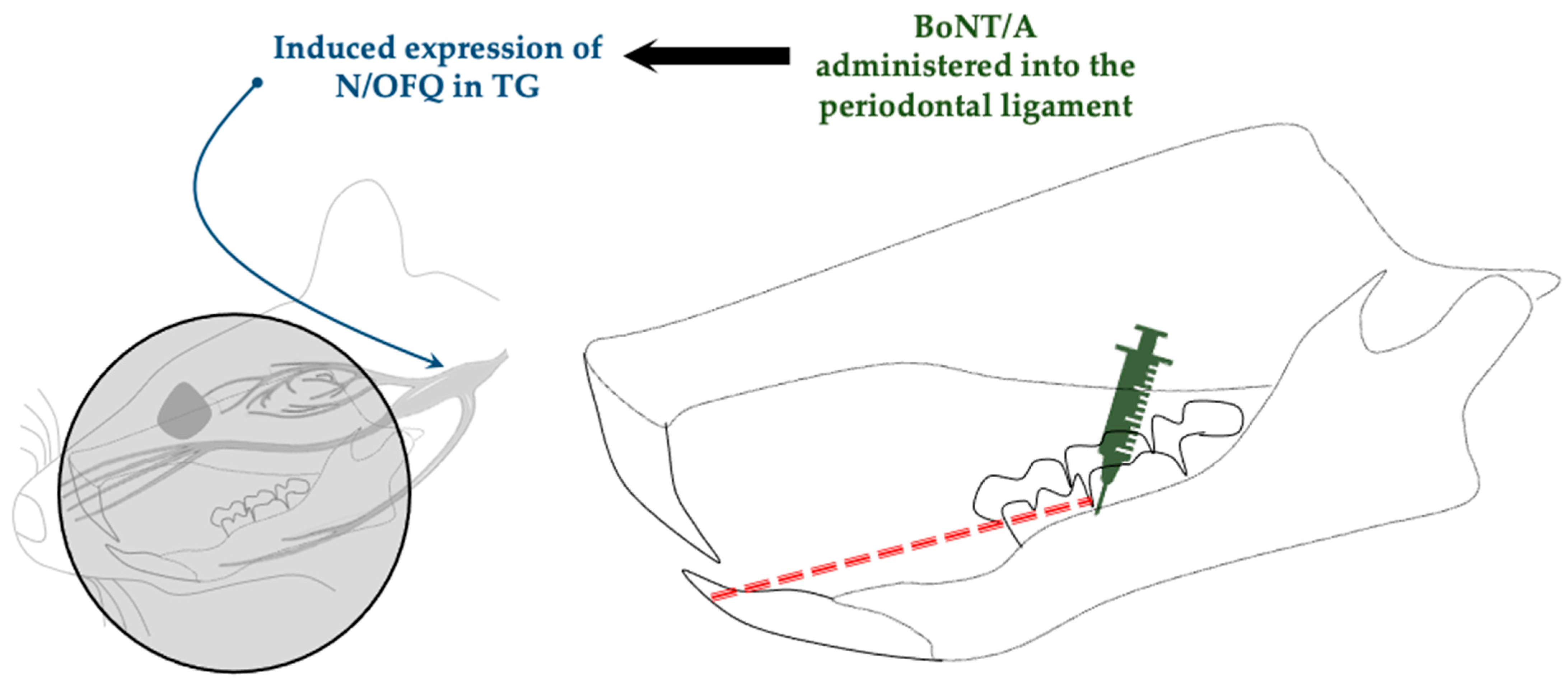 Toxins 17 00567 g007