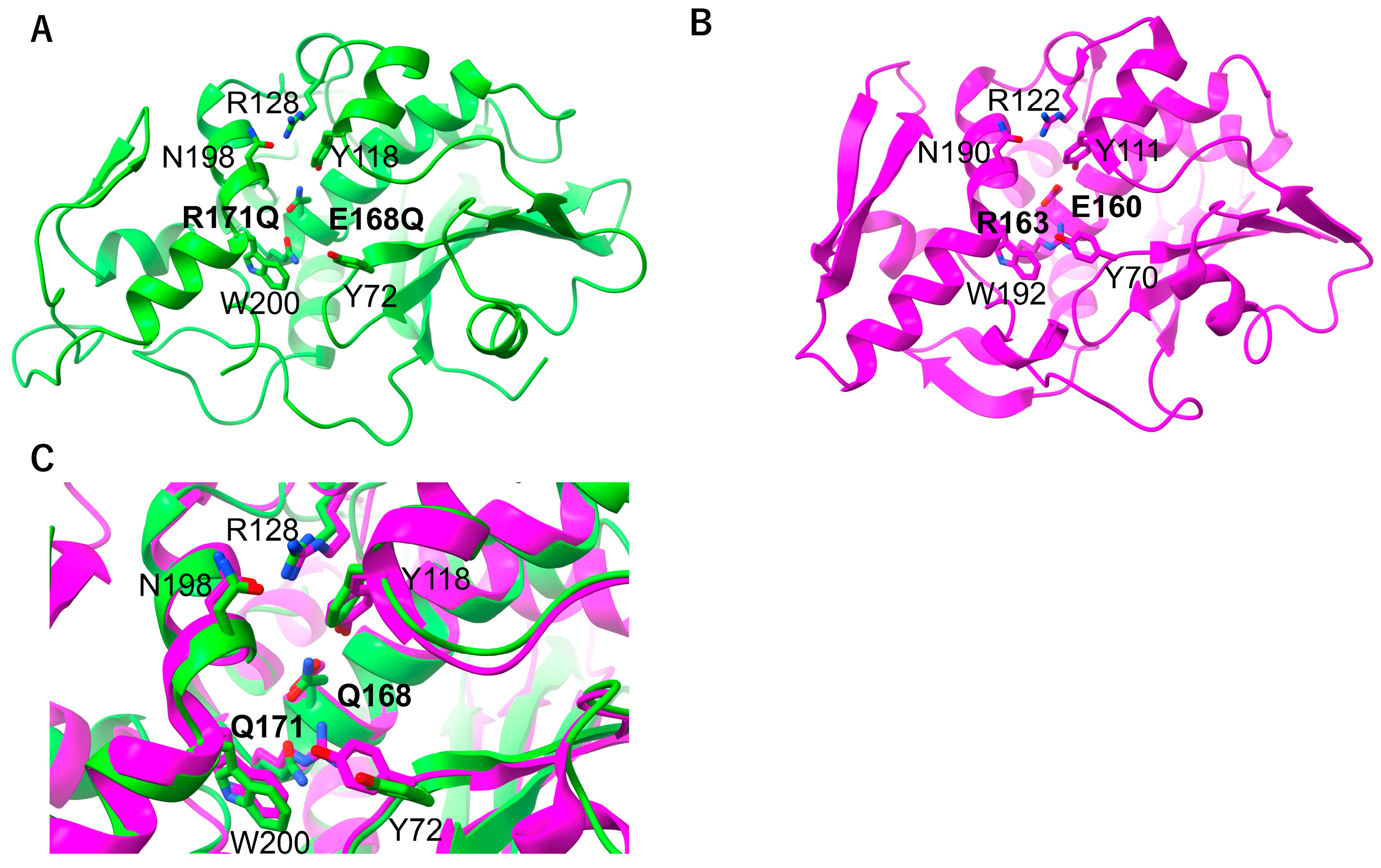 Toxins 17 00575 g003