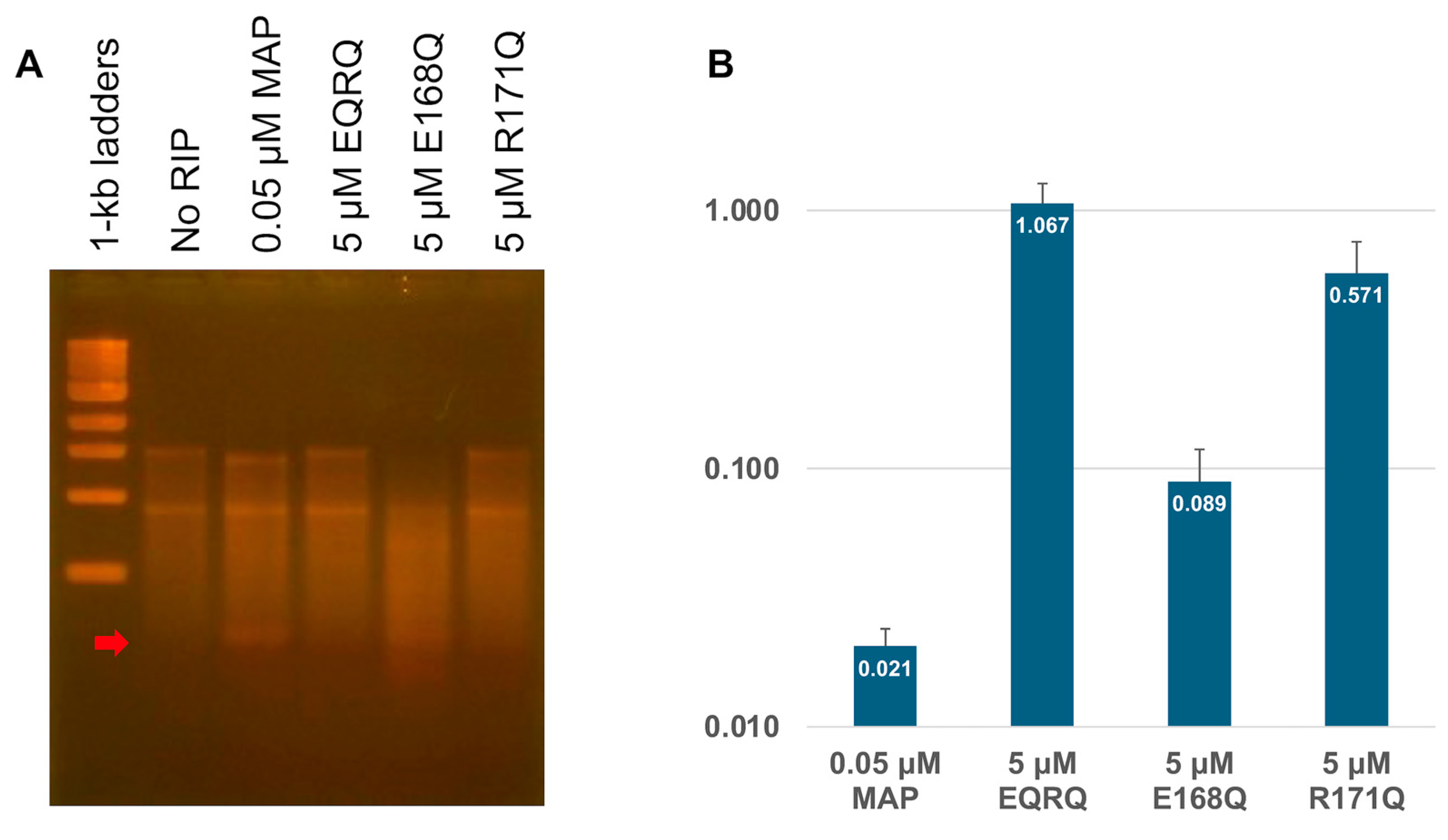 Toxins 17 00575 g004