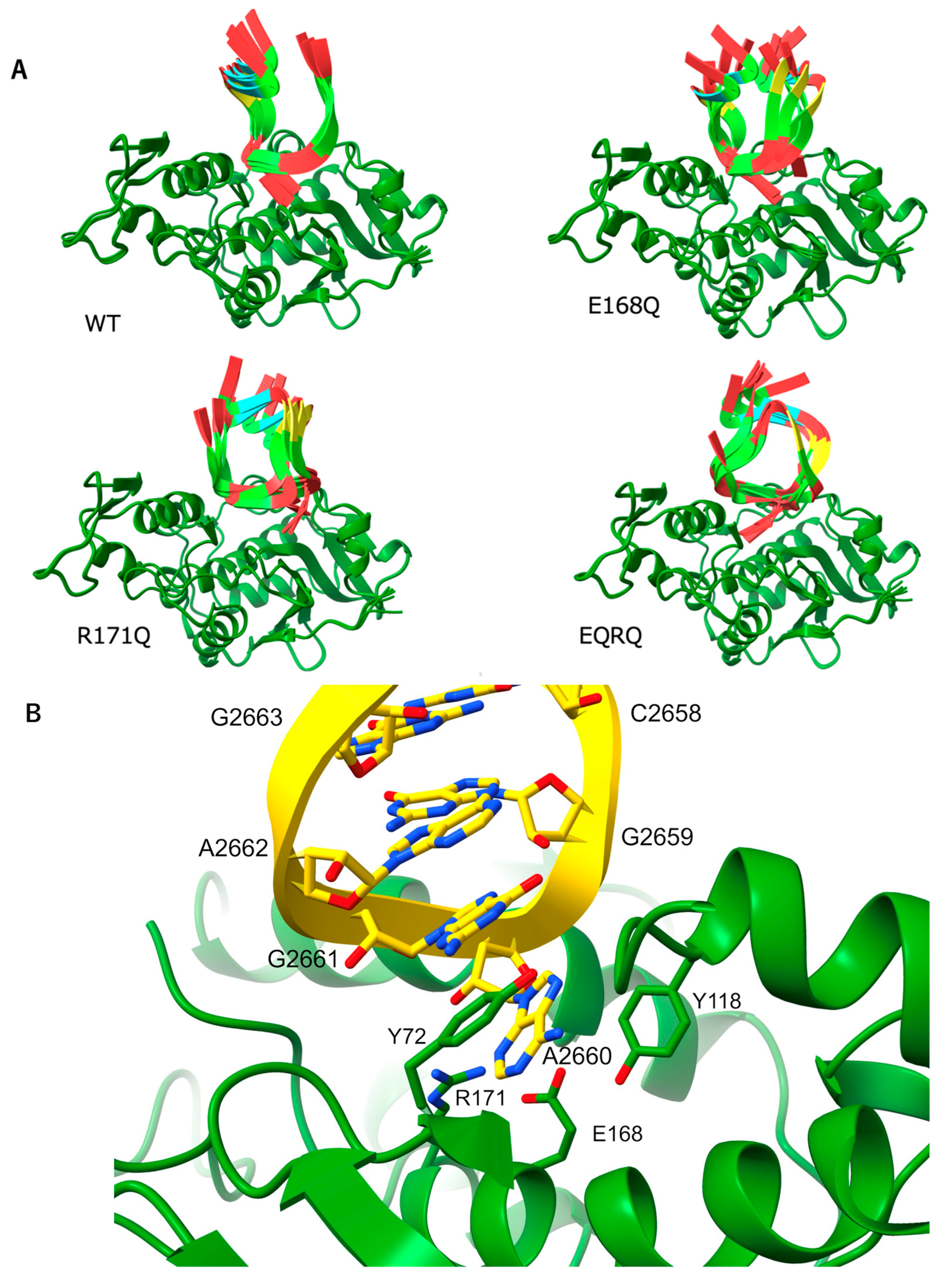 Toxins 17 00575 g005