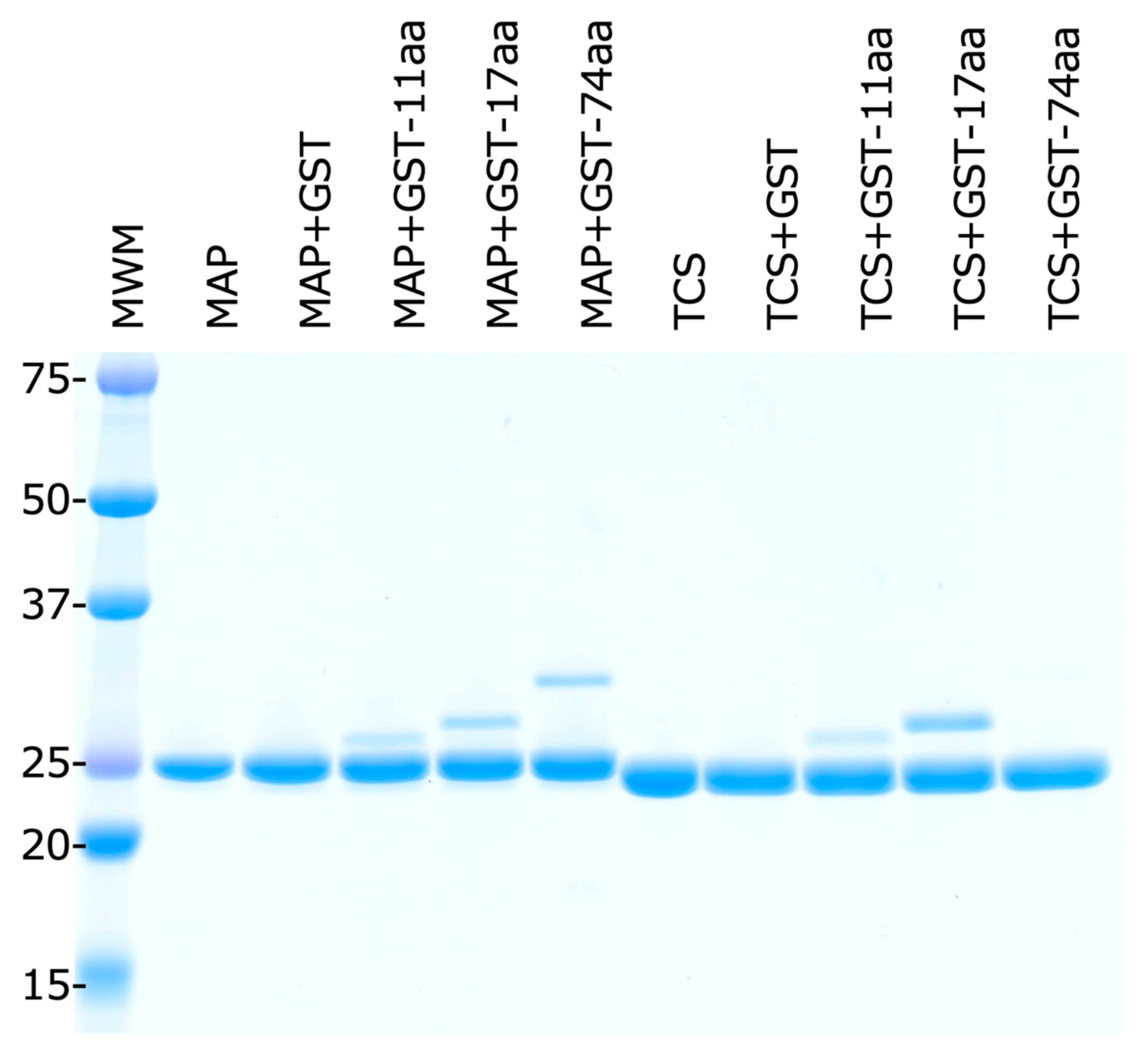 Toxins 17 00575 g006