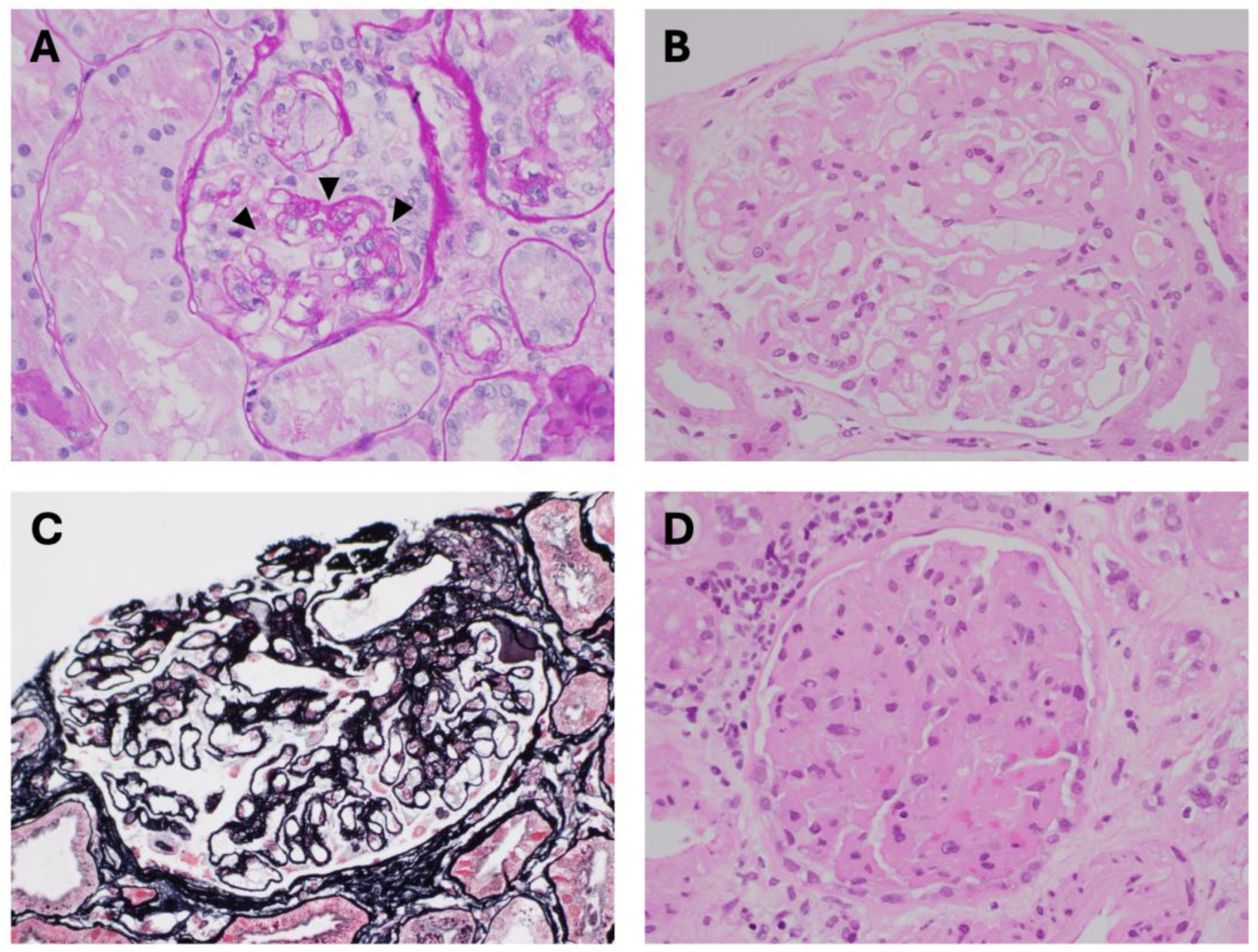 Toxins 17 00578 g002