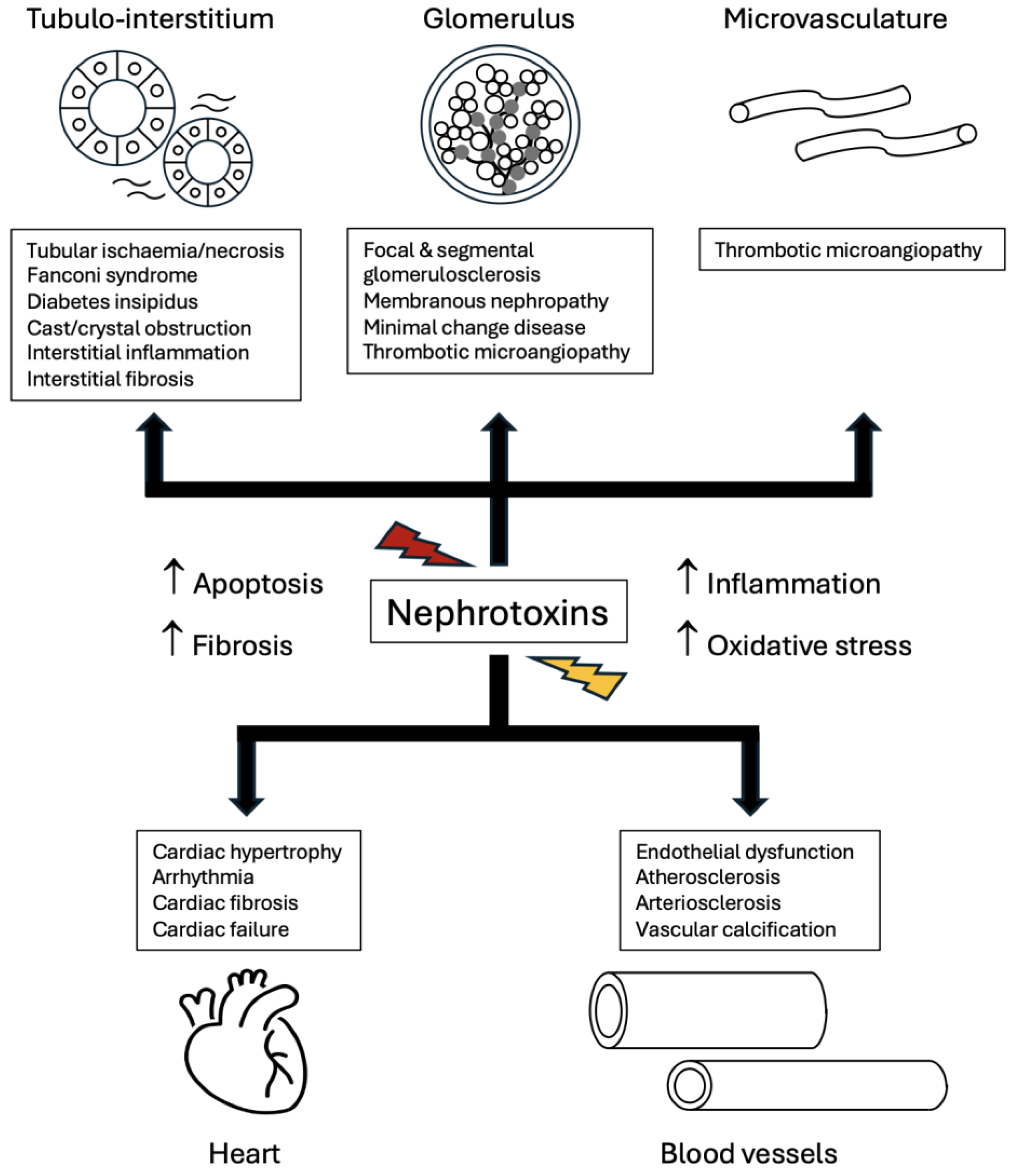 Toxins 17 00578 g004