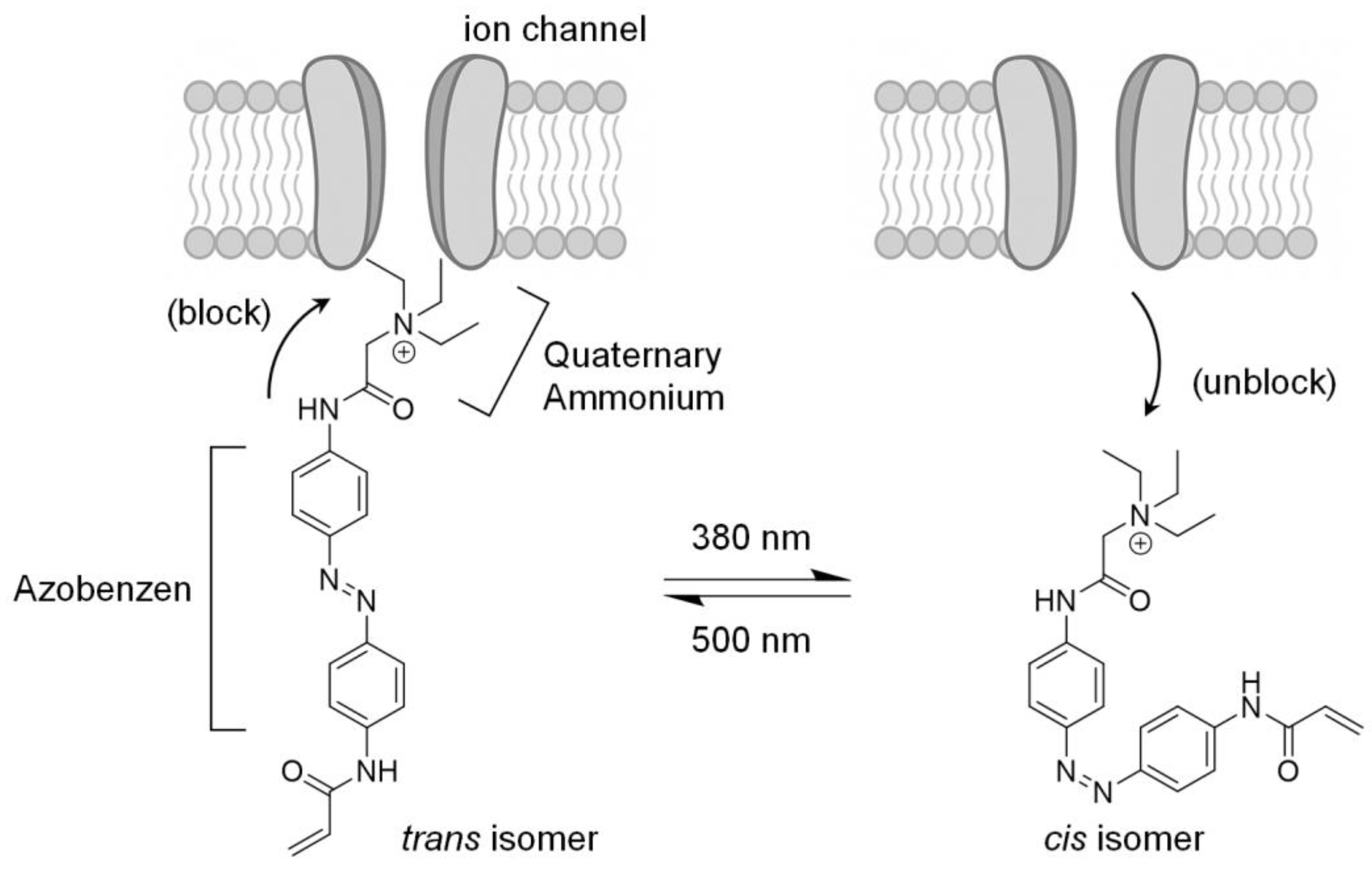 Toxins 17 00579 g003