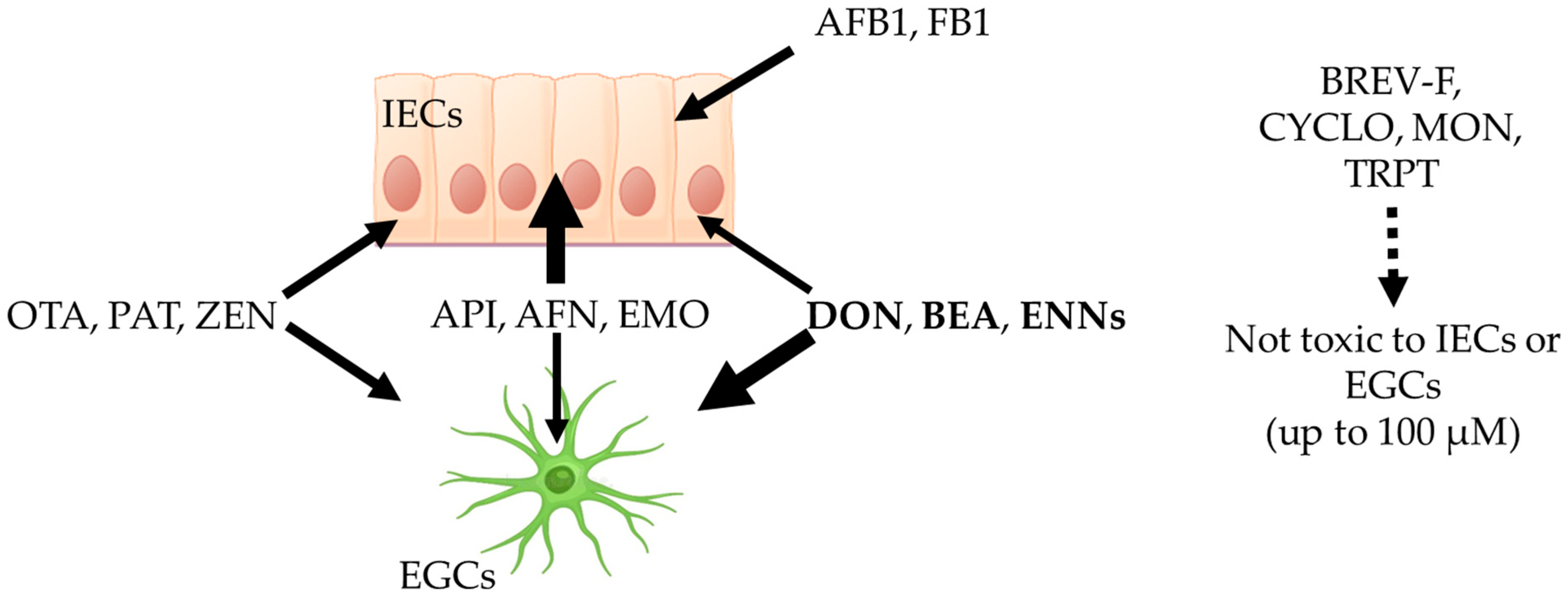 Toxins 17 00587 g010 Toxins 17 00587 g010