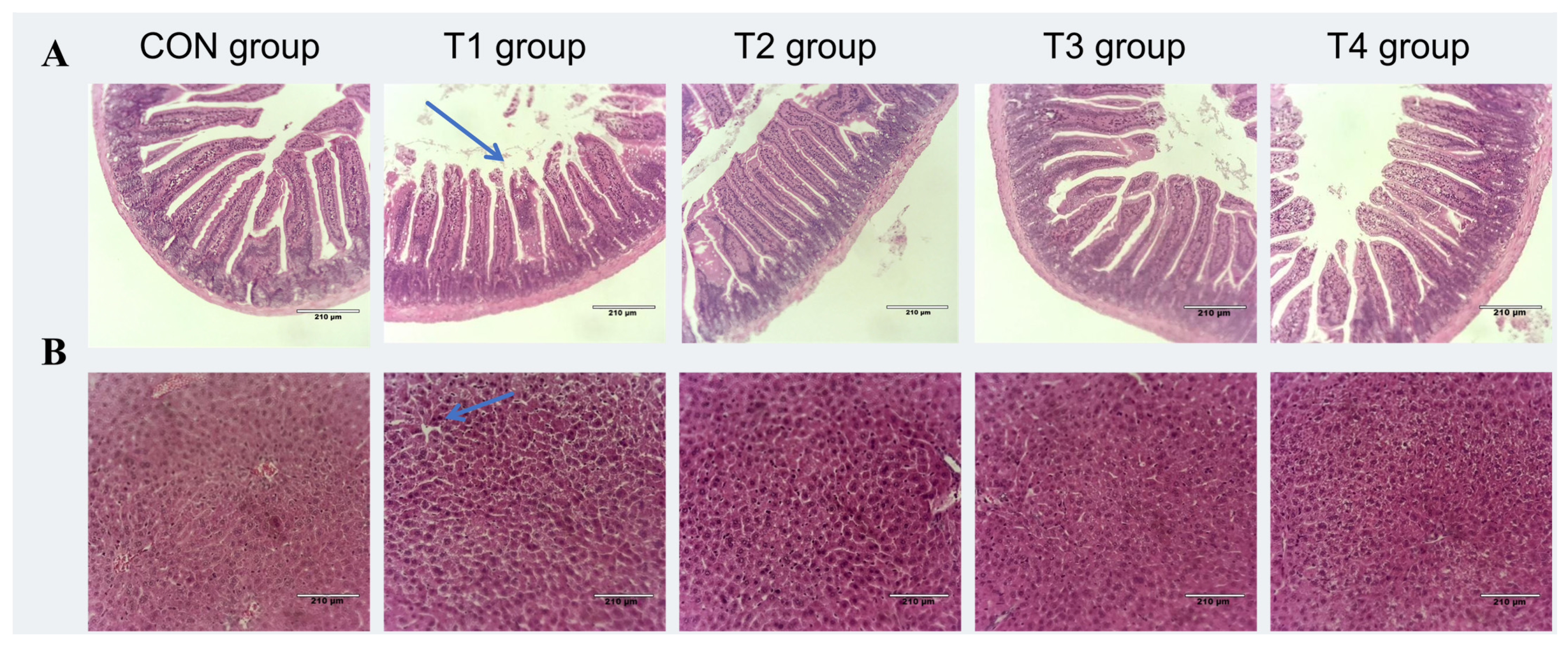 Toxins 17 00588 g005 Toxins 17 00588 g005