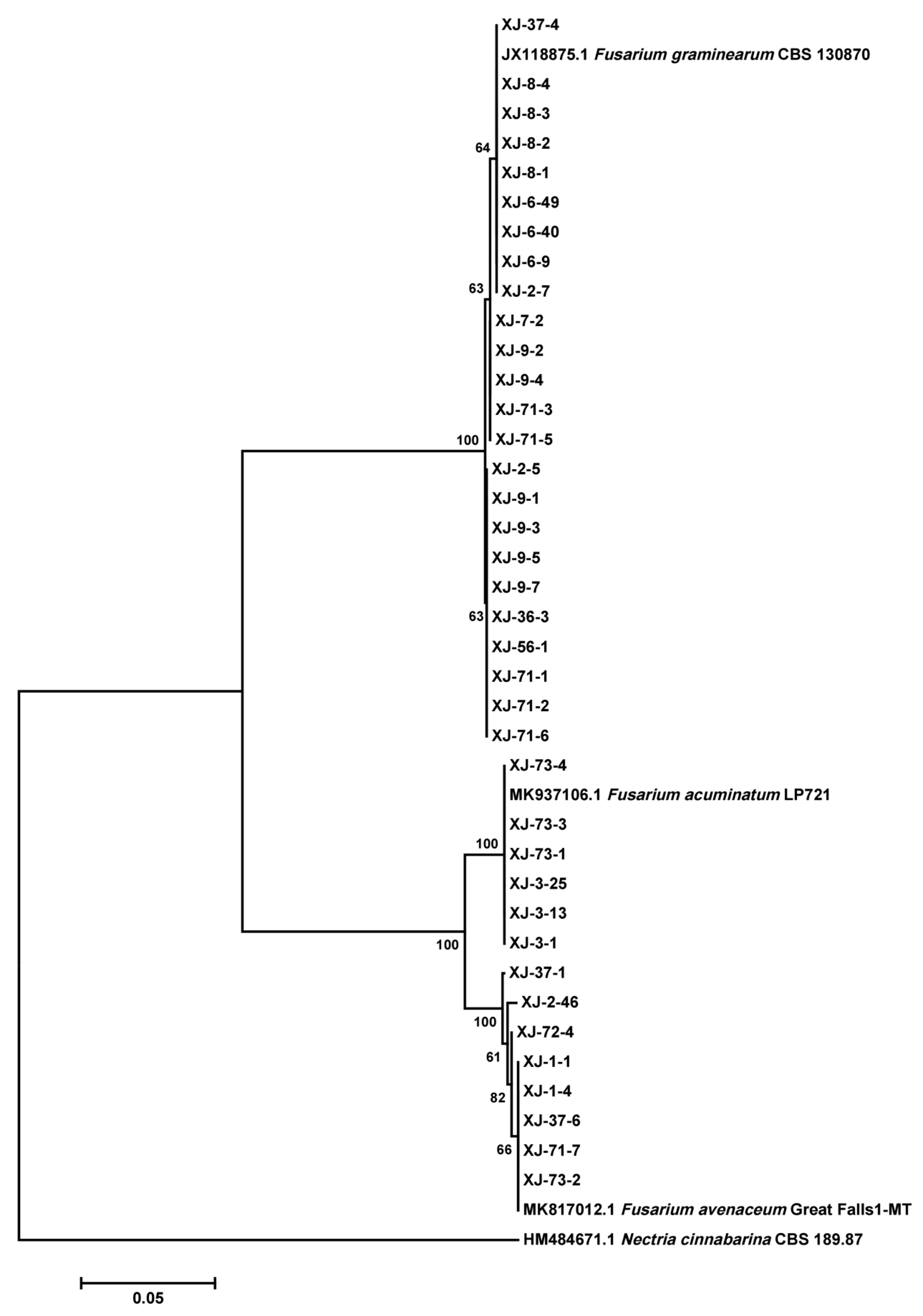 Toxins 17 00591 g003 Toxins 17 00591 g003