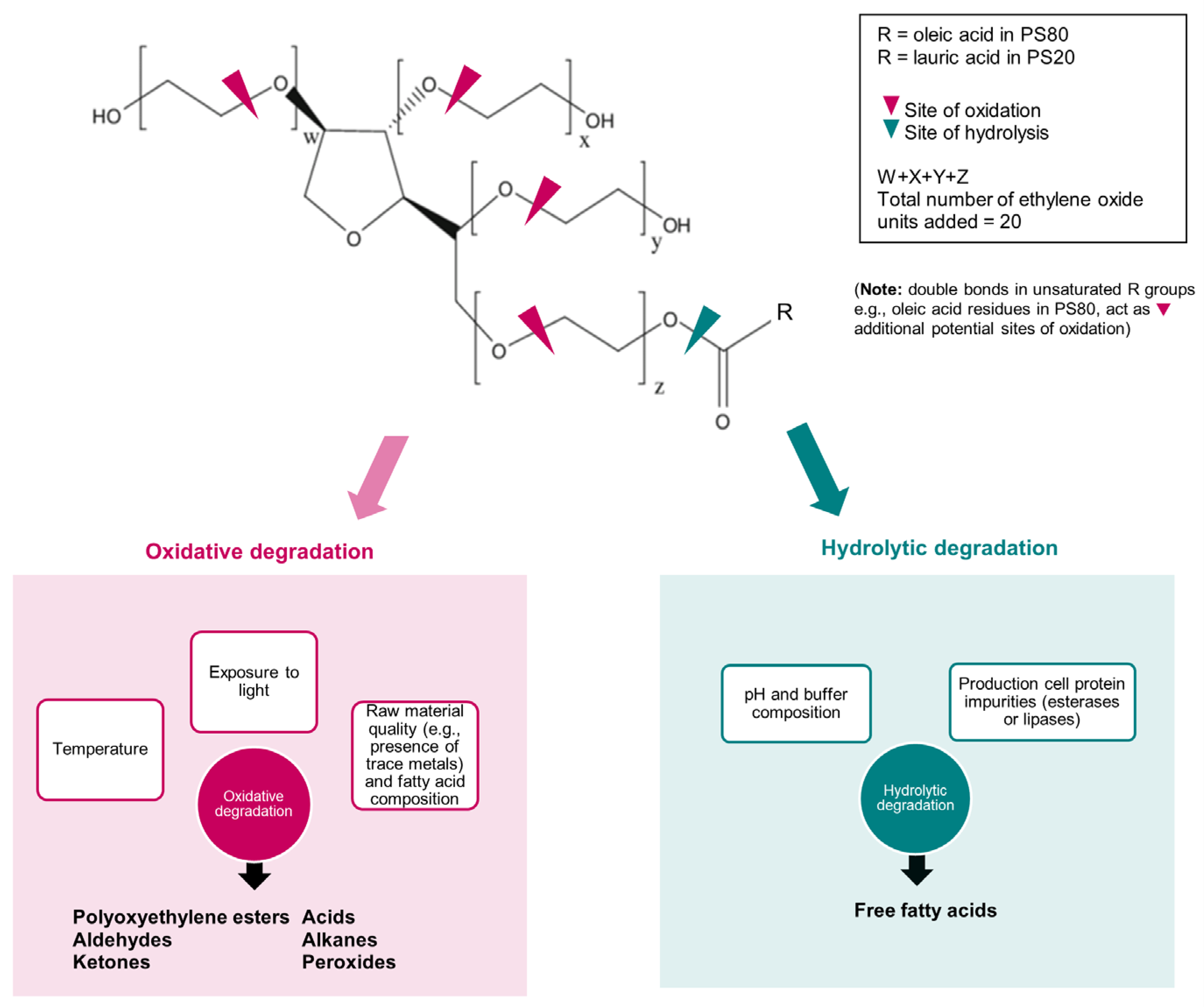 Toxins 17 00598 g001