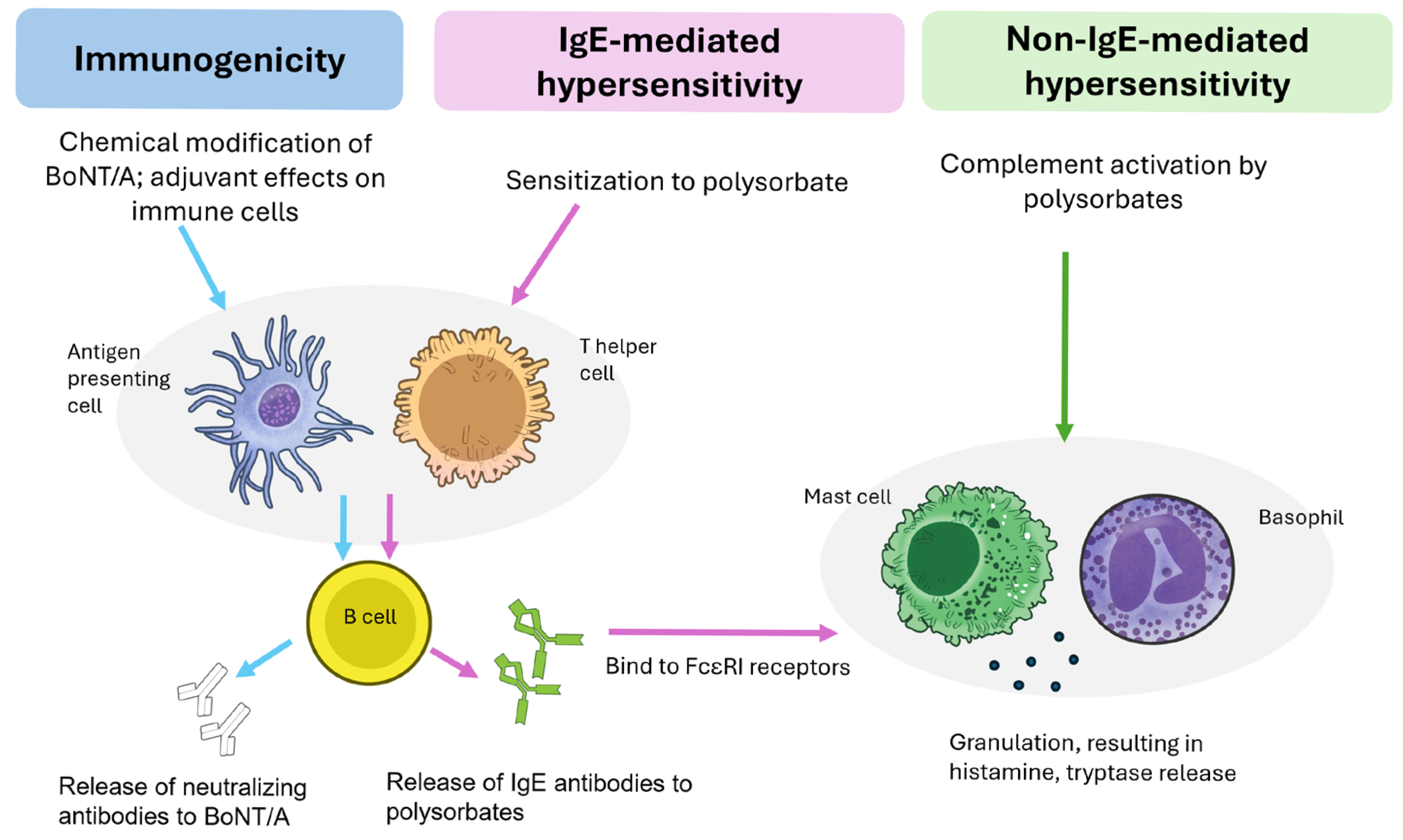 Toxins 17 00598 g002