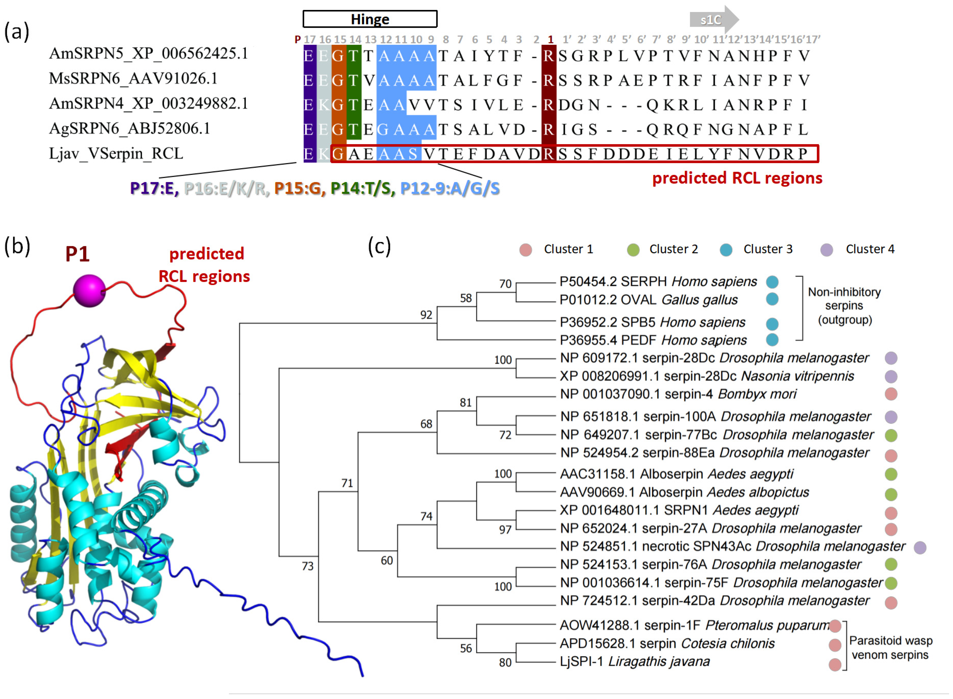 Toxins 17 00600 g002 Toxins 17 00600 g002