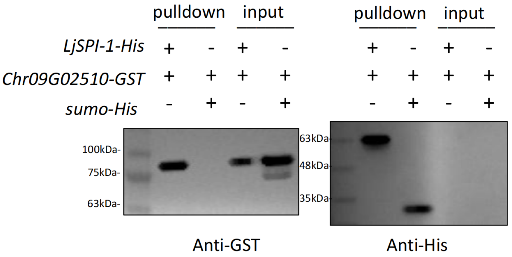 Toxins 17 00600 g004 Toxins 17 00600 g004