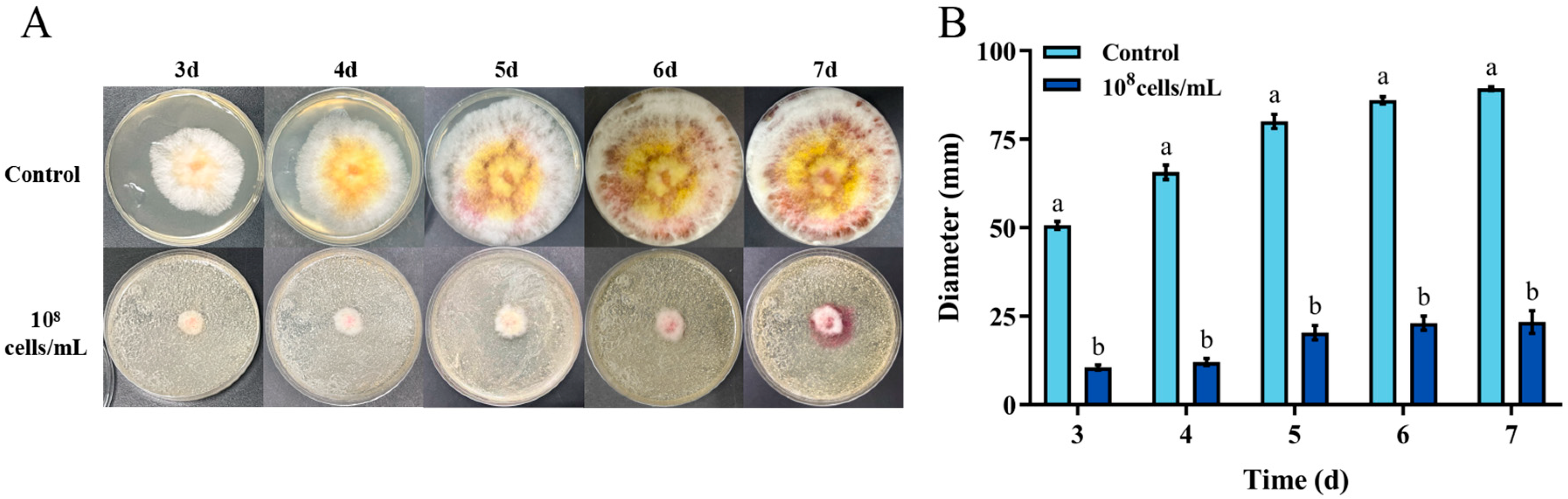 Toxins 18 00002 g003