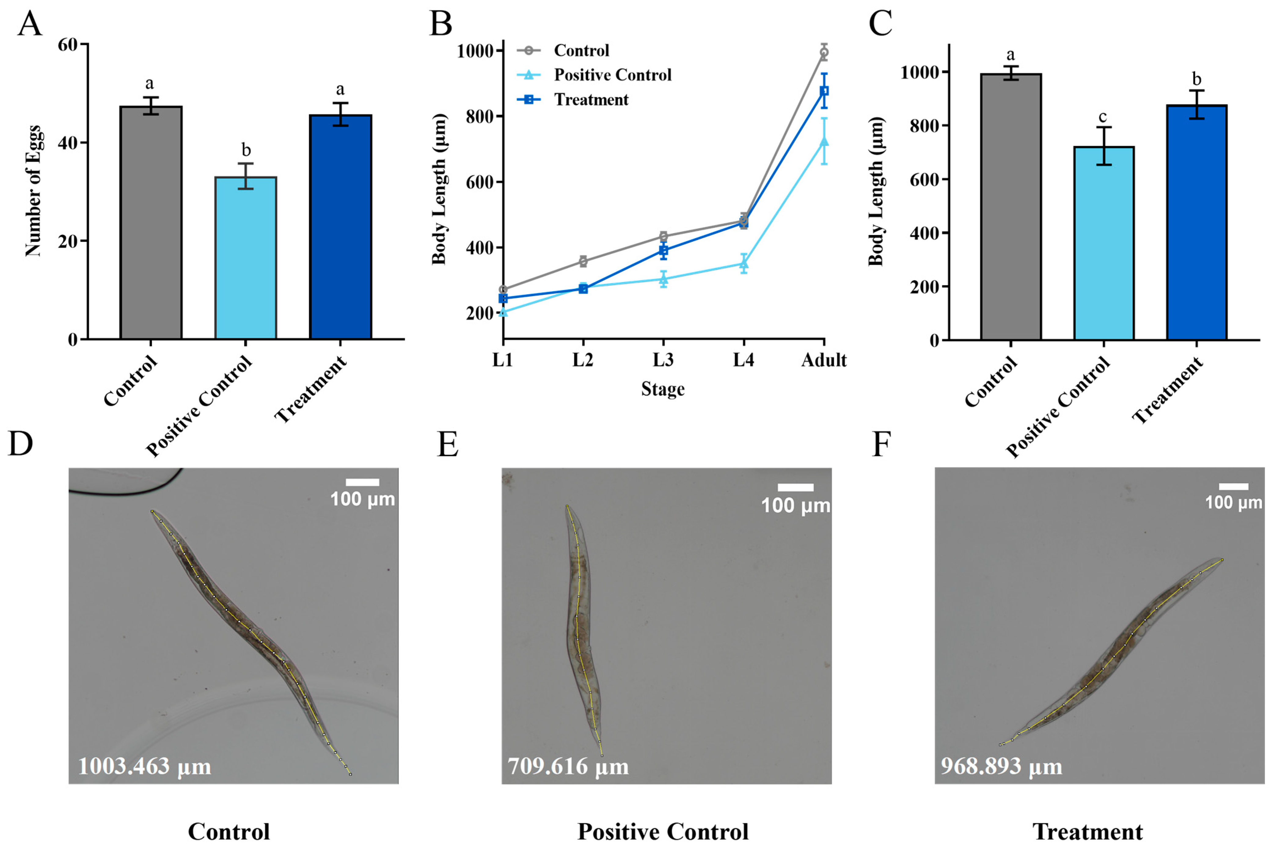 Toxins 18 00002 g007