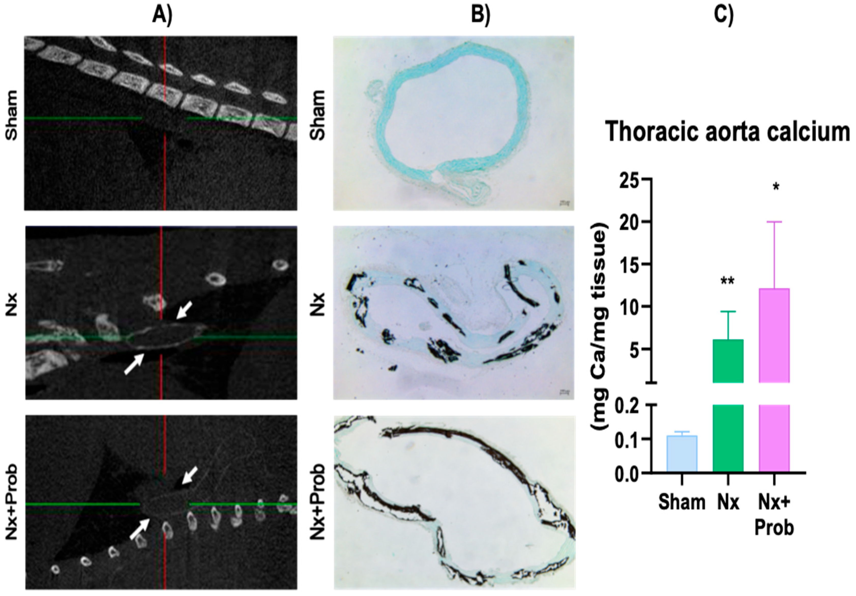 Toxins 18 00006 g002