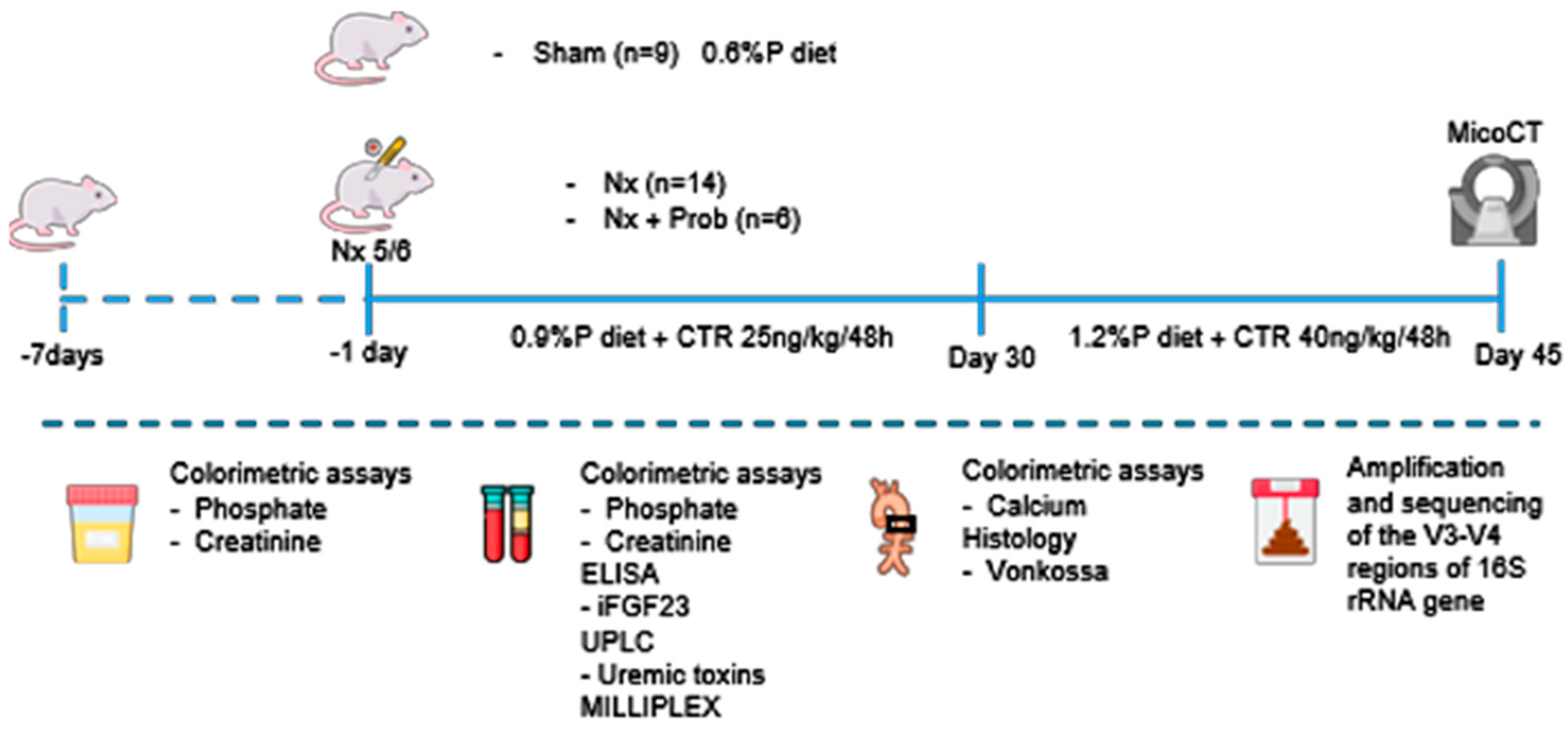 Toxins 18 00006 g011