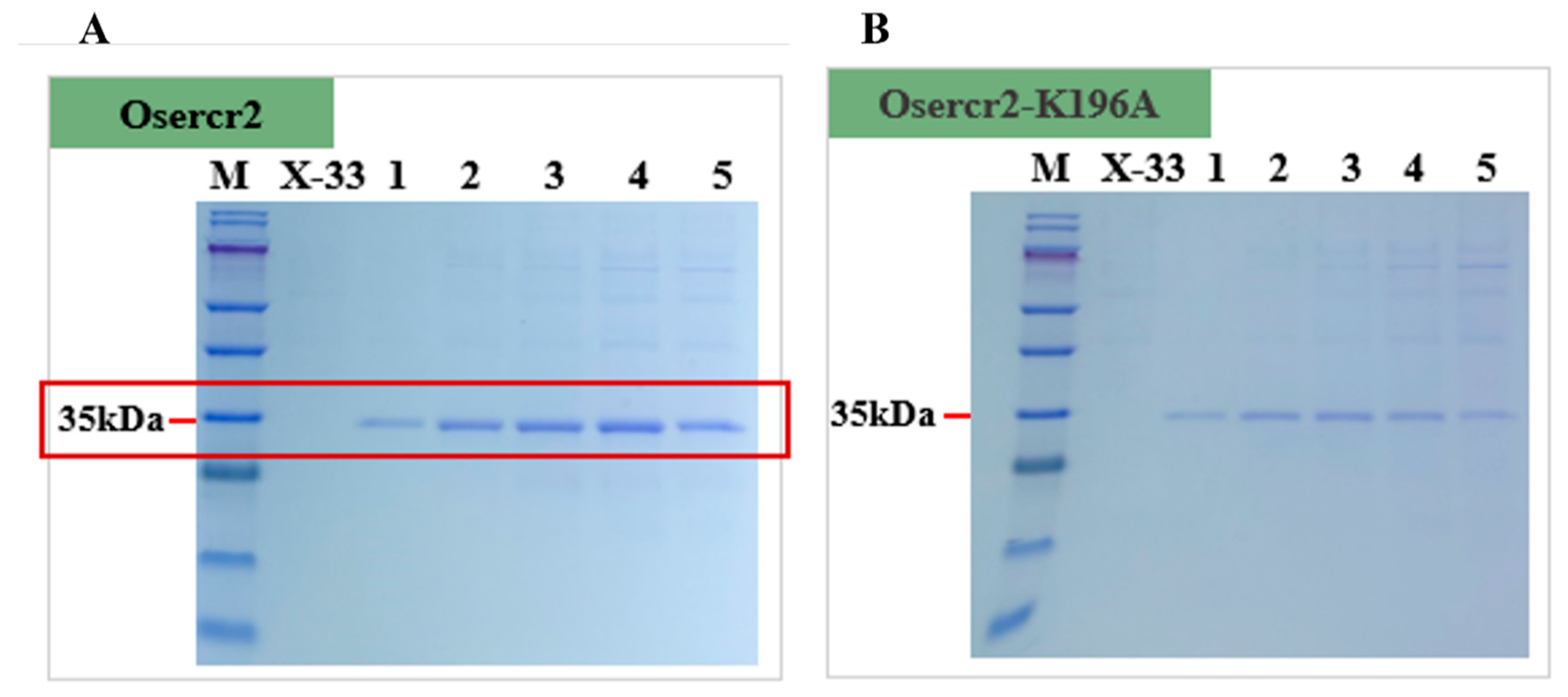 Toxins 18 00010 g007