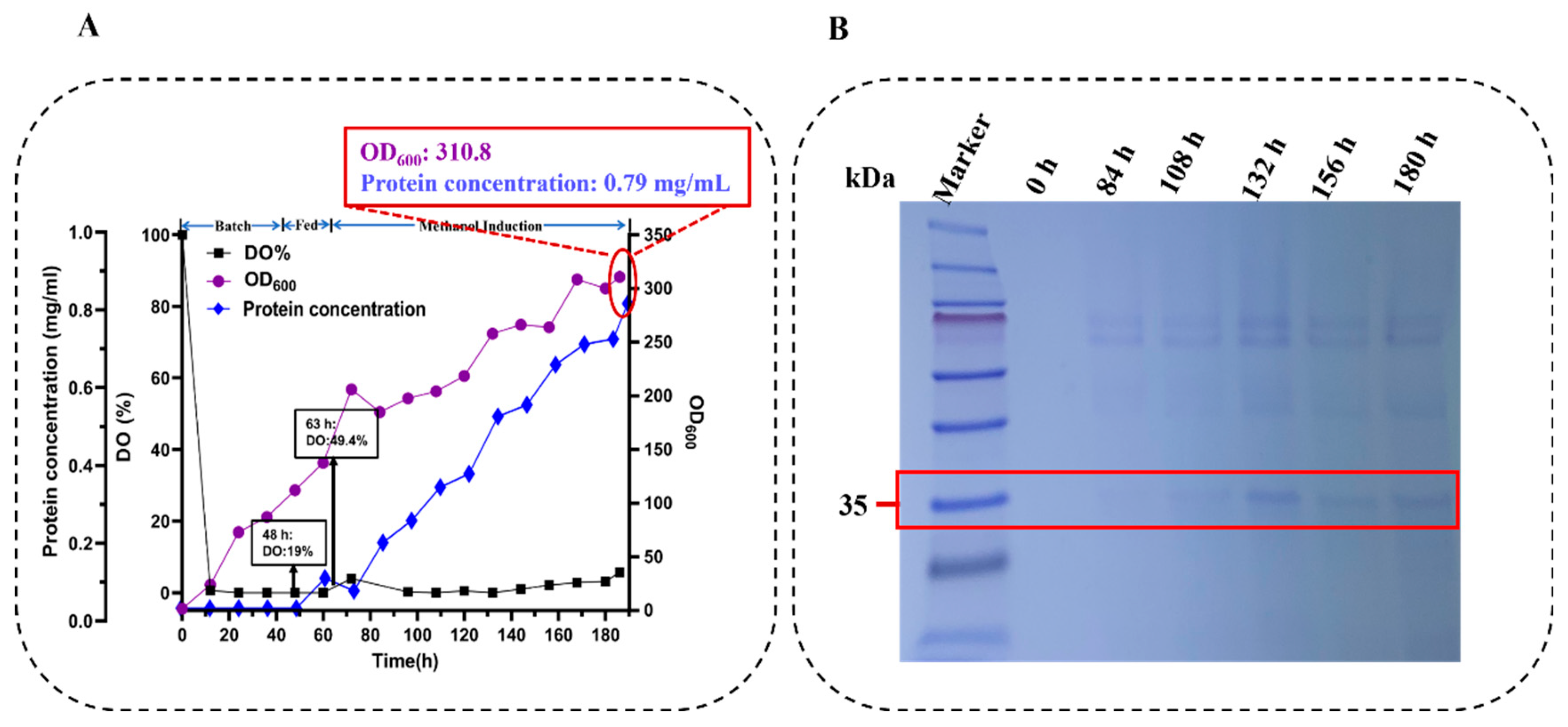 Toxins 18 00010 g008