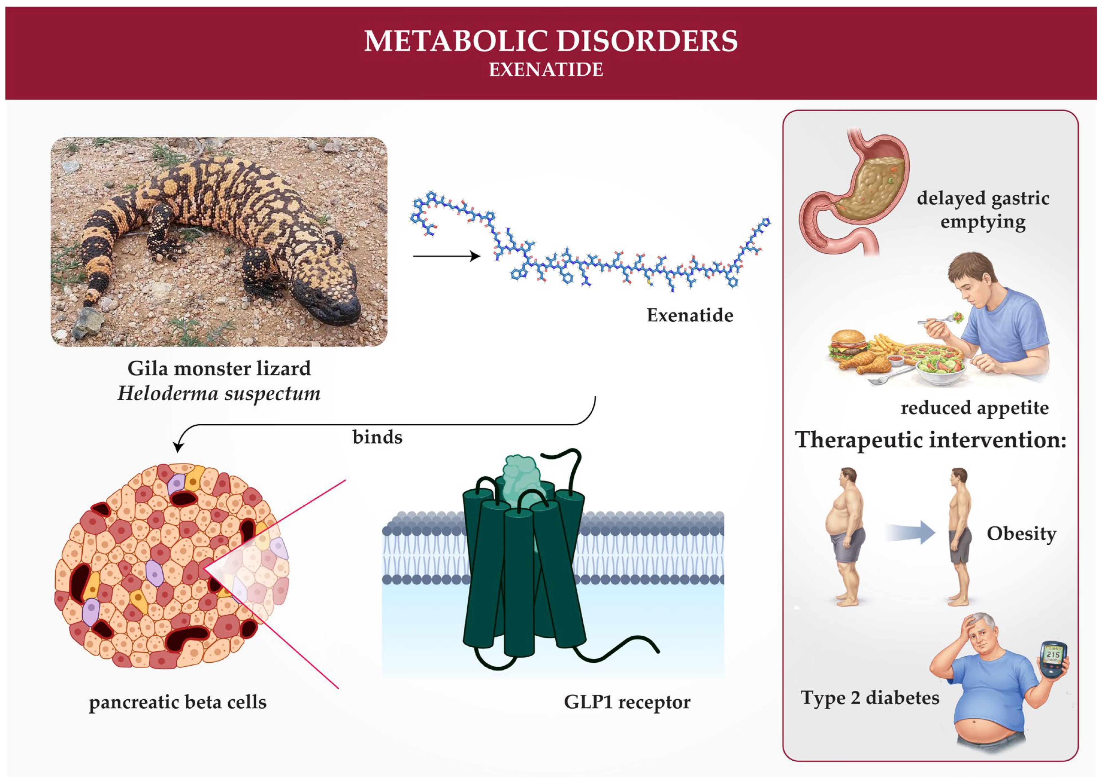 Animal Venoms Targeting Cellular Mechanisms: Advances and