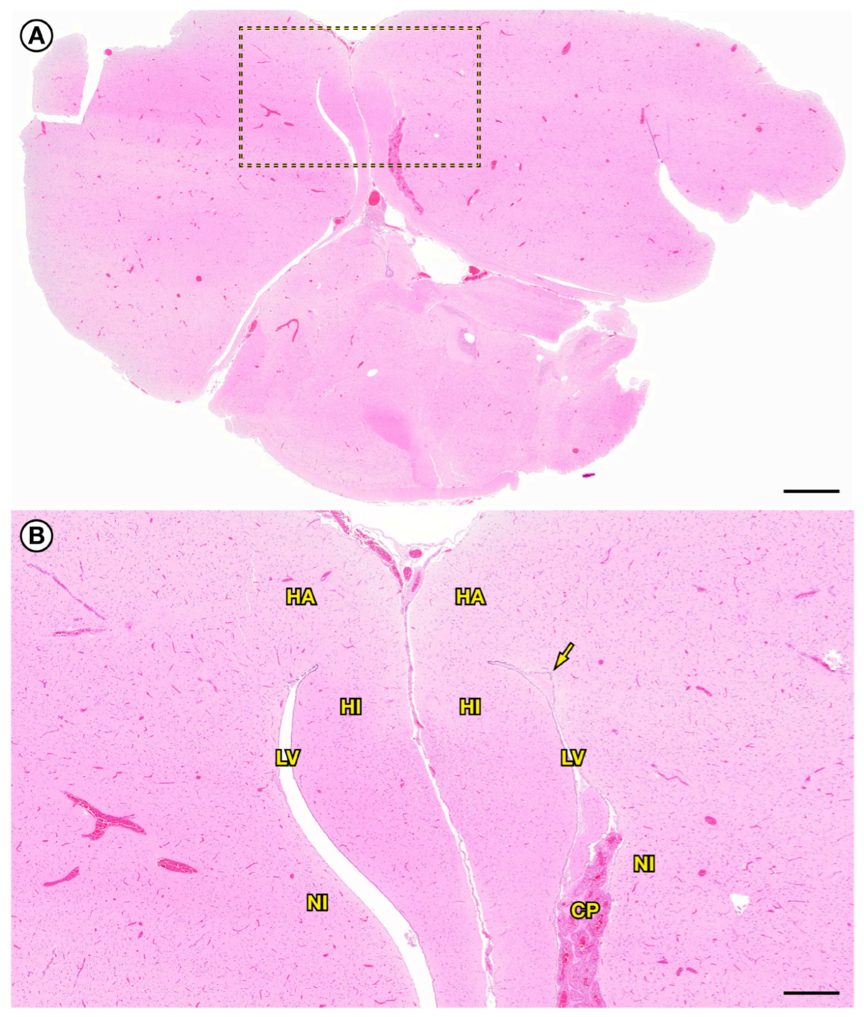 Toxins 18 00401 g006