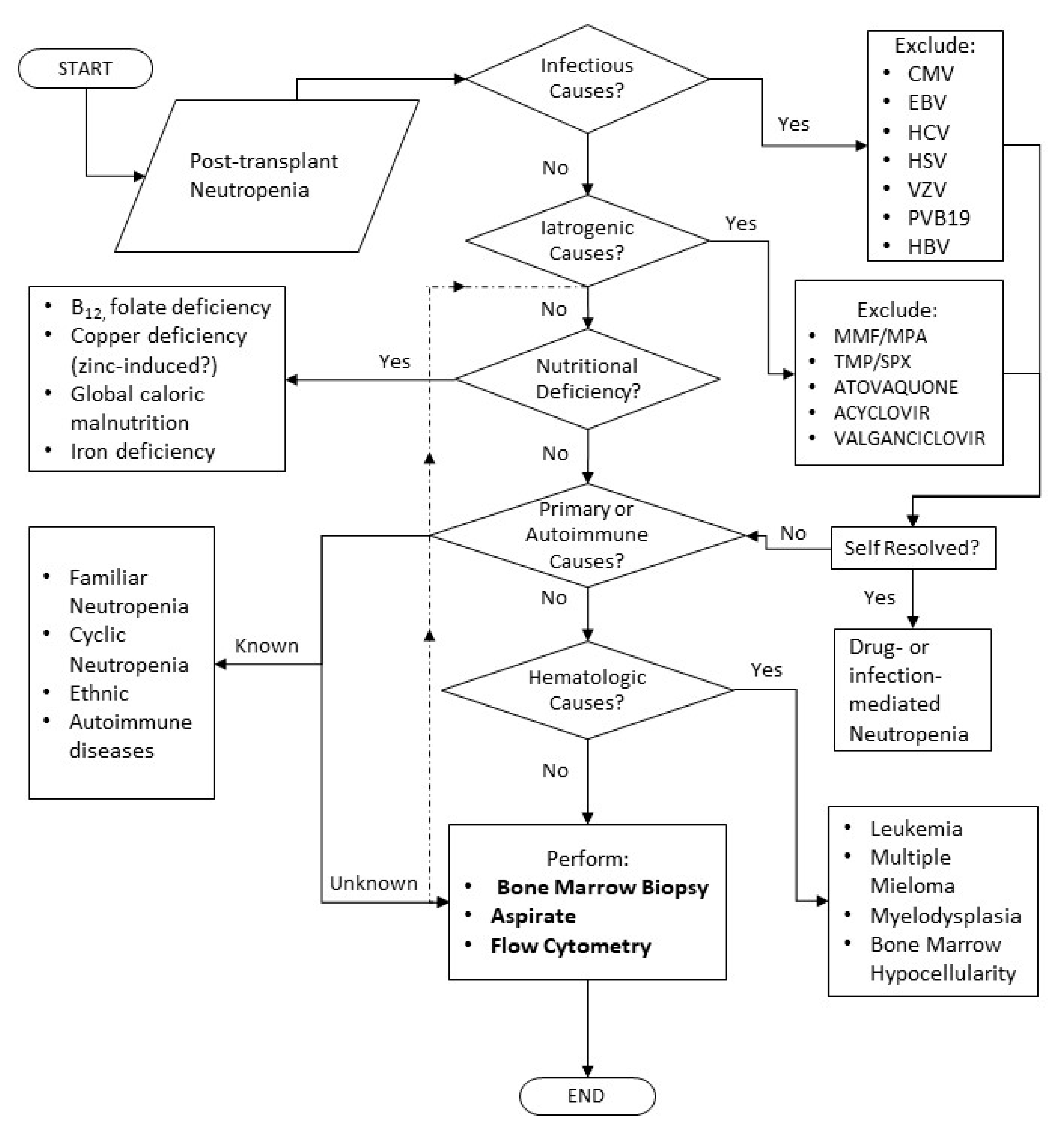 Transplantology 02 00017 g002 Transplantology 02 00017 g002