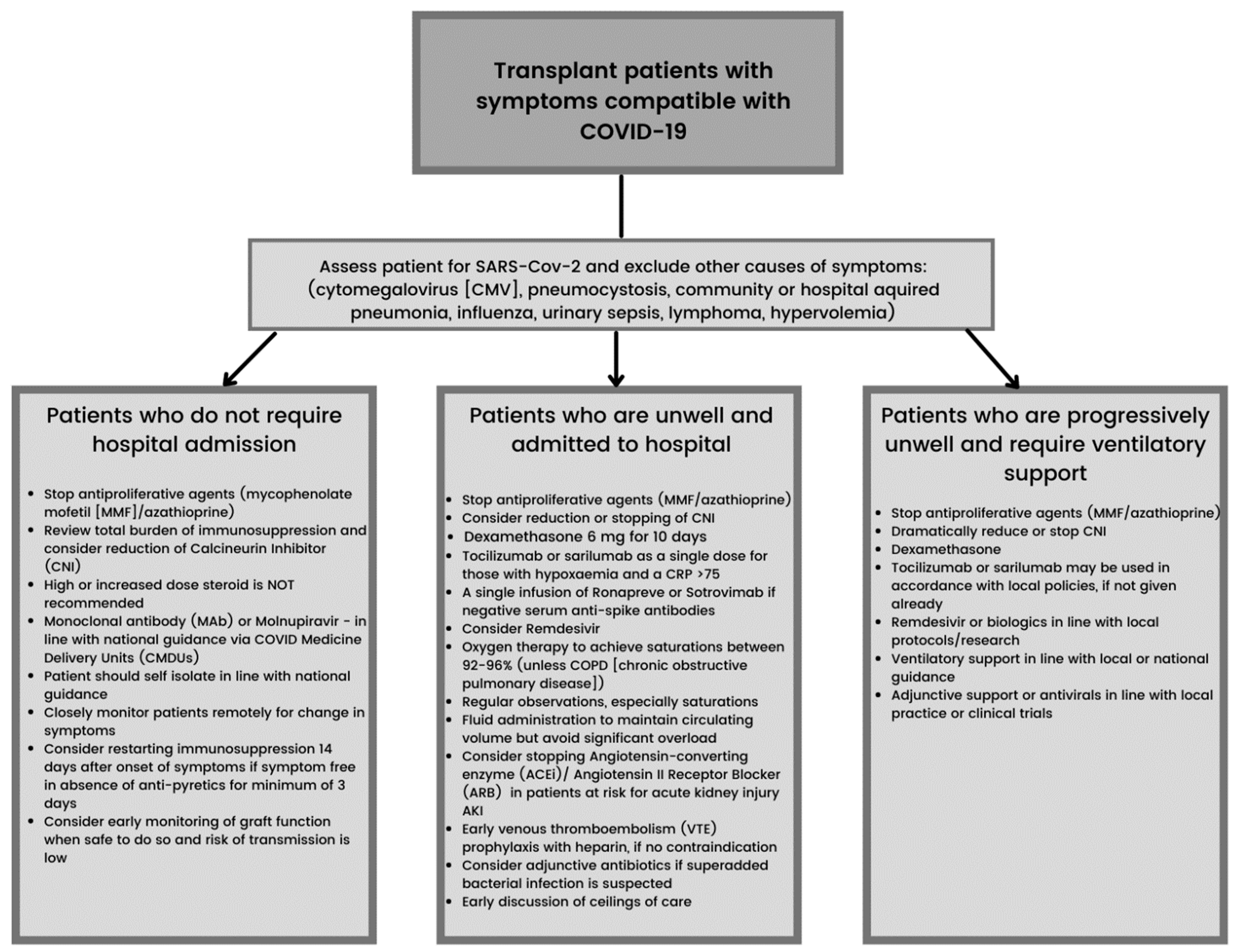 Transplantology 03 00008 g001